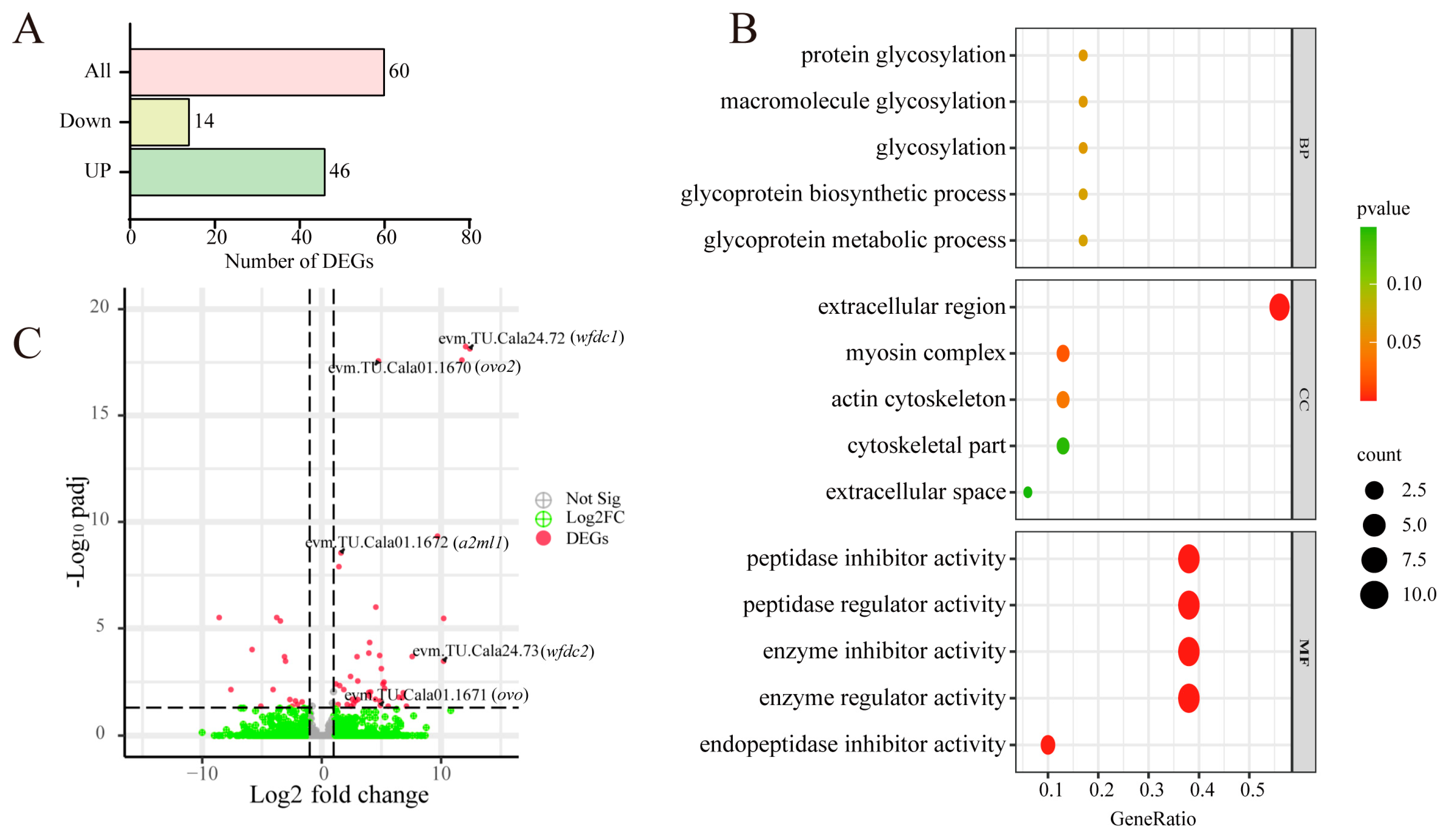 Biology 14 00987 g006