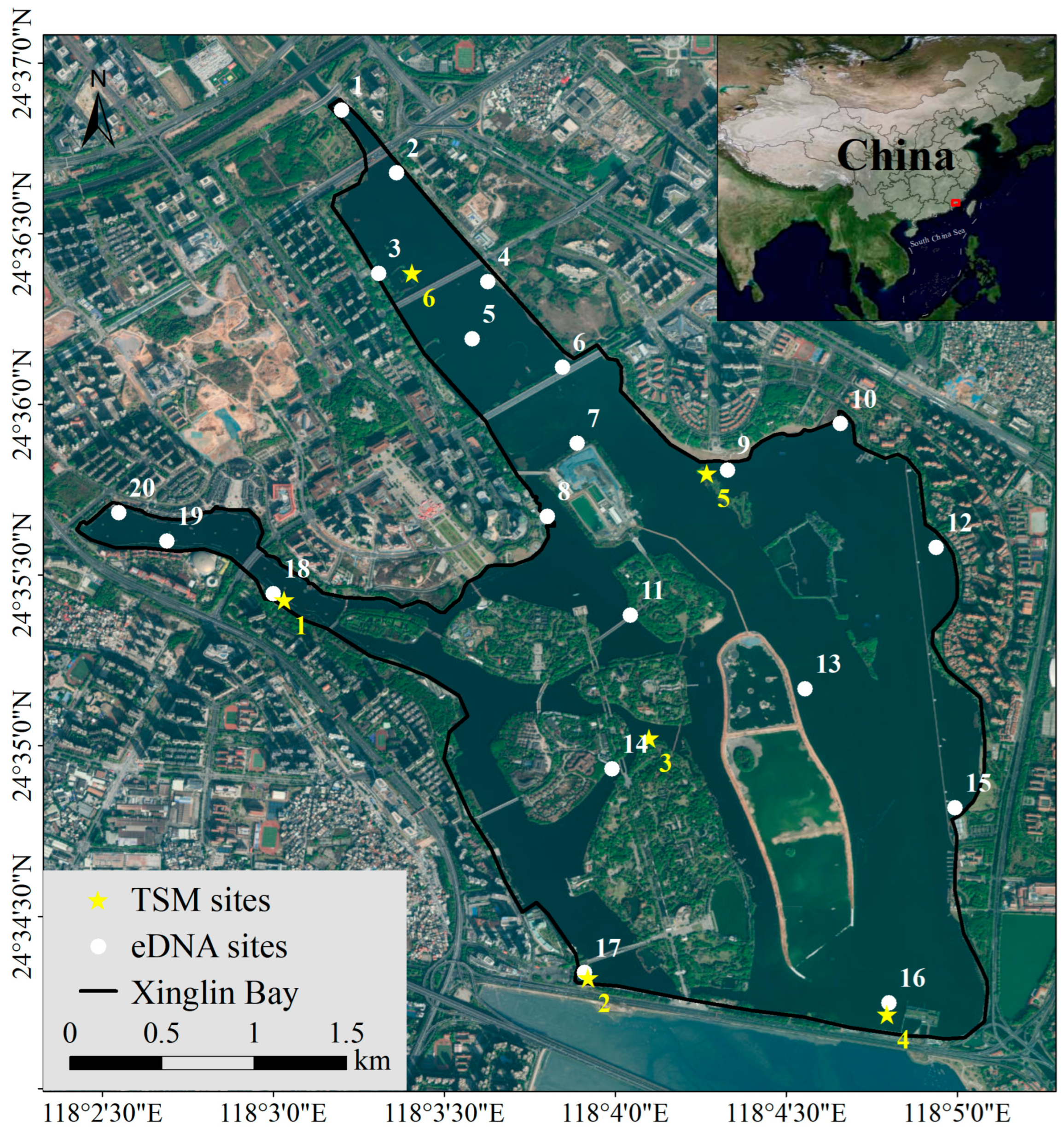 Biology 14 00988 g001 Biology 14 00988 g001
