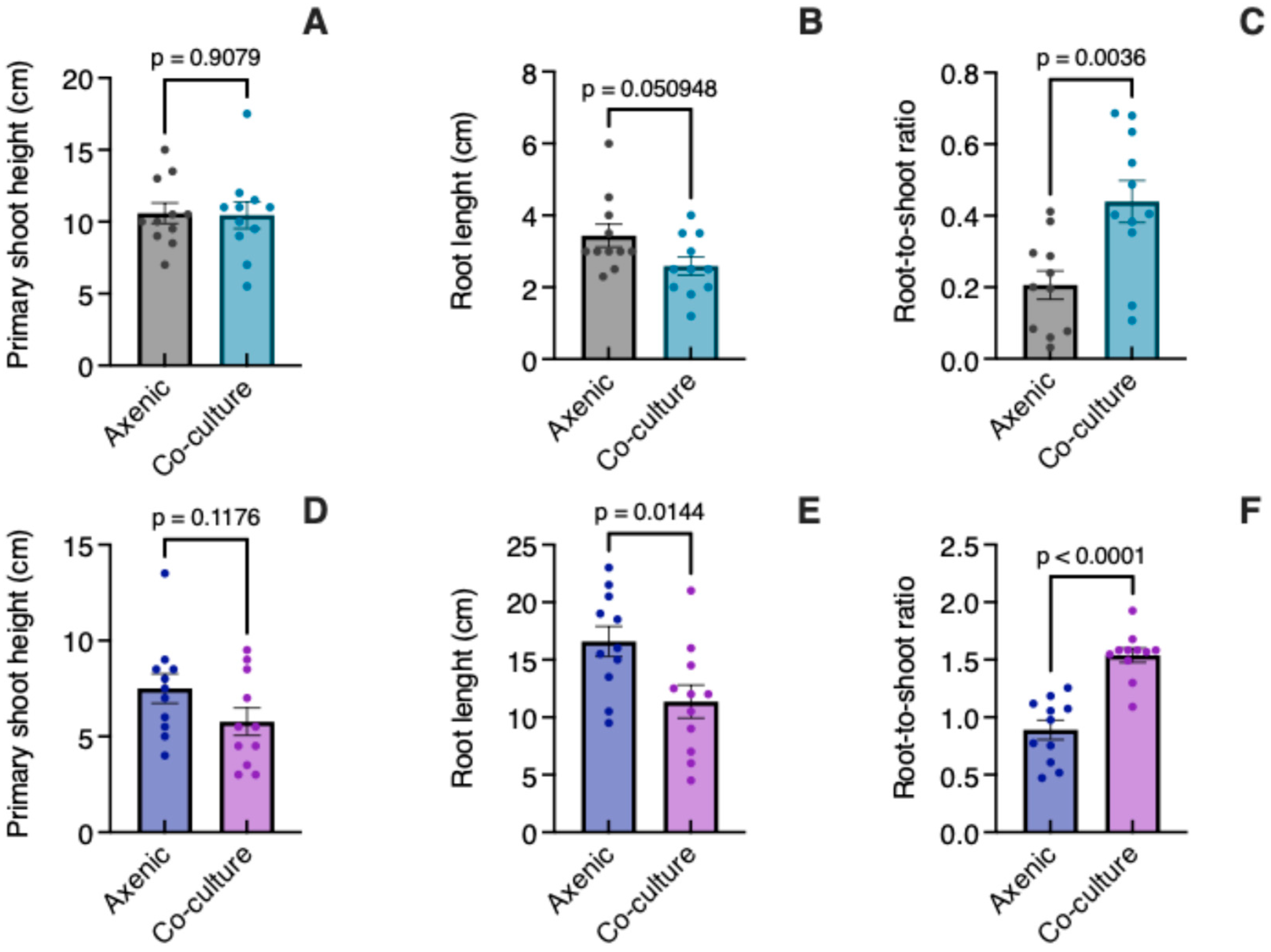 Biology 14 00990 g002