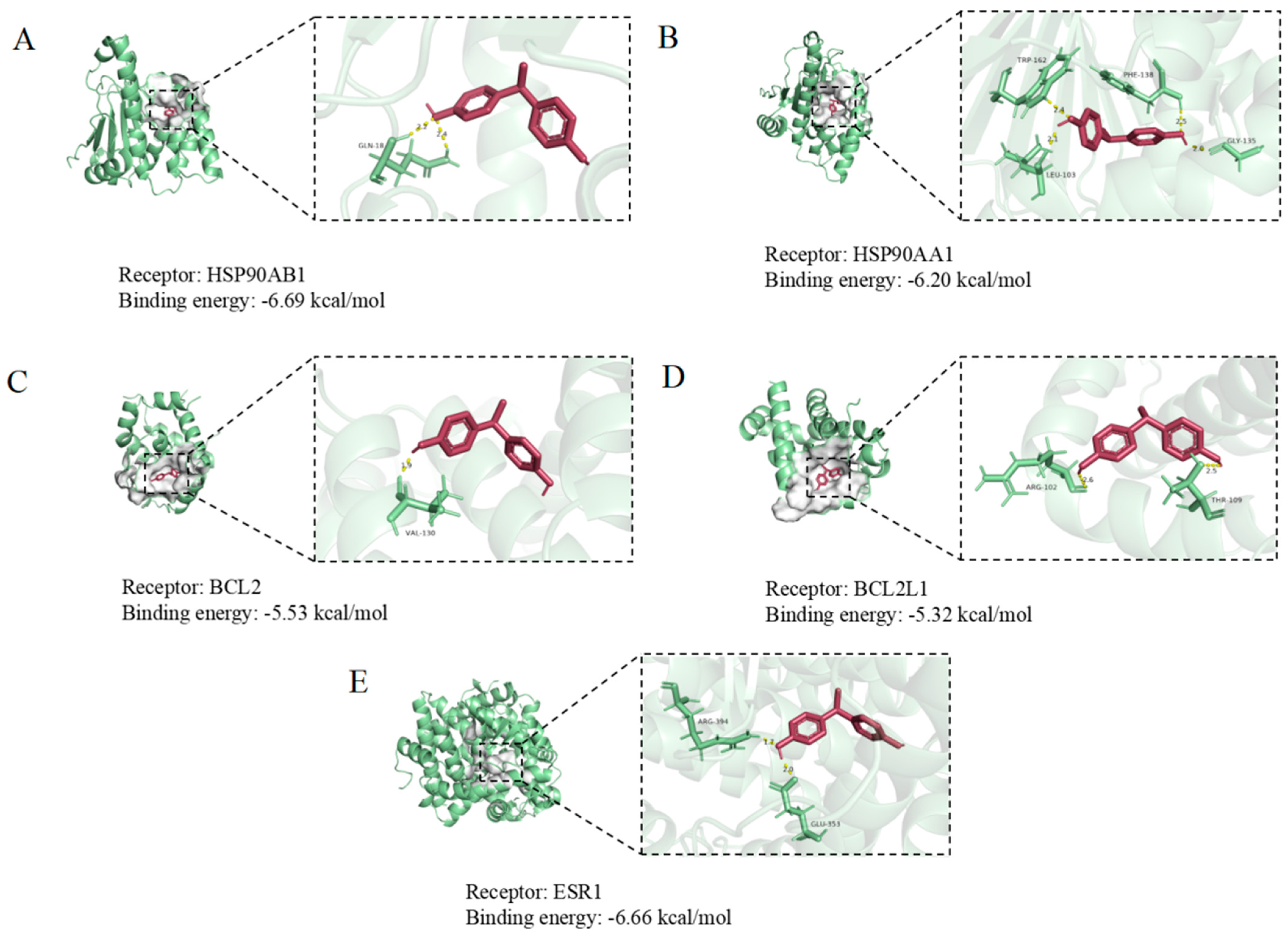 Biology 14 00992 g004