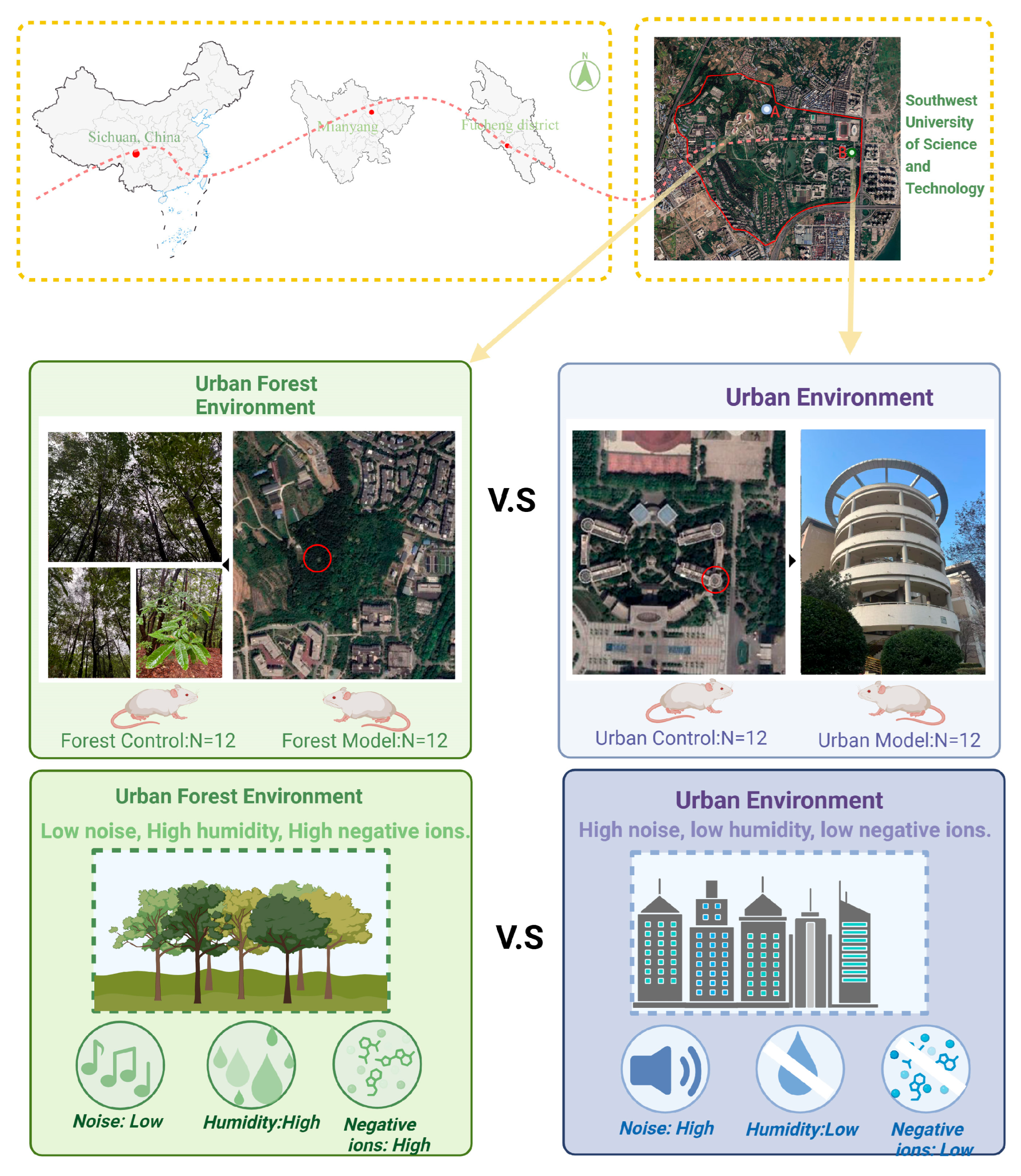 Biology 14 00998 g001