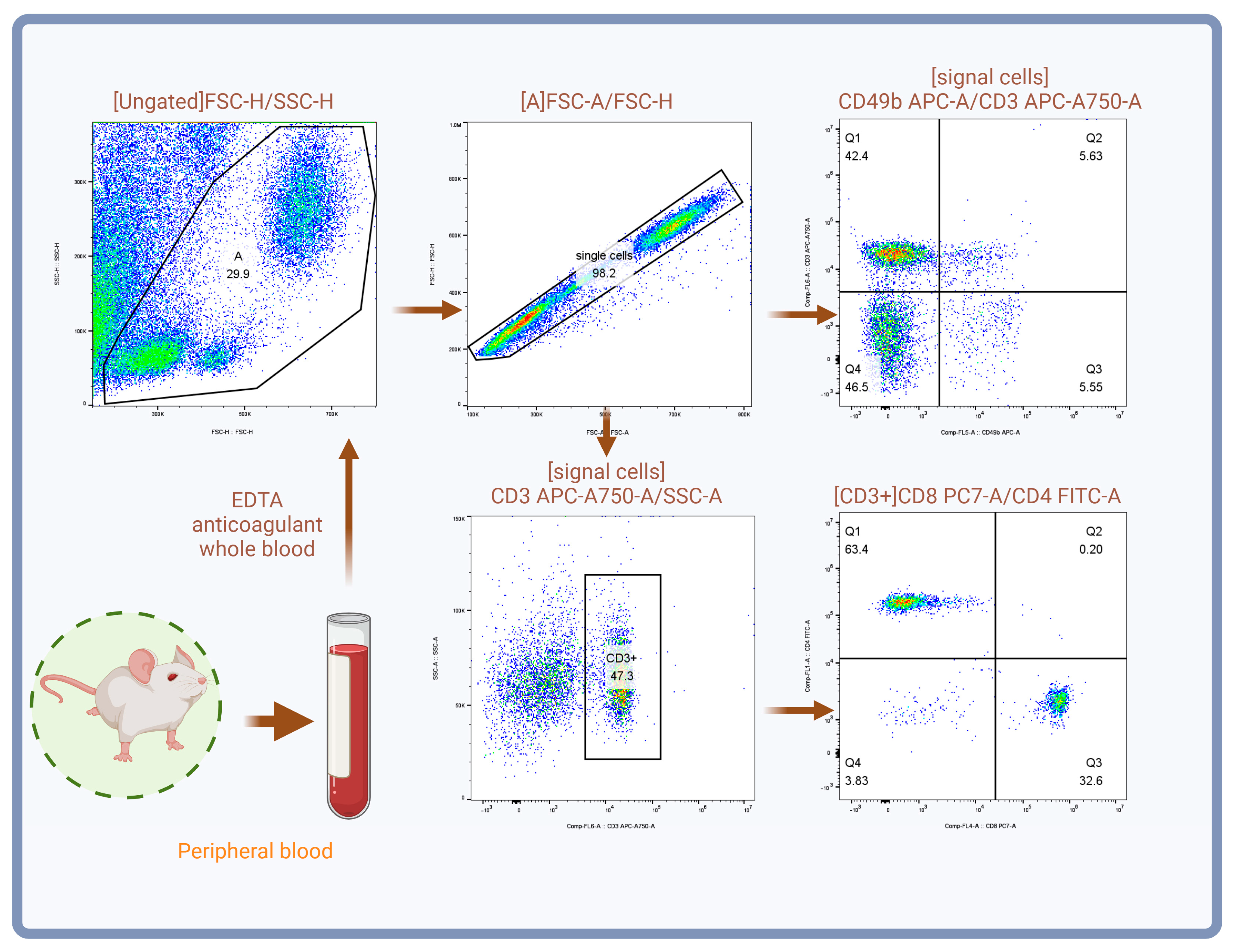 Biology 14 00998 g002