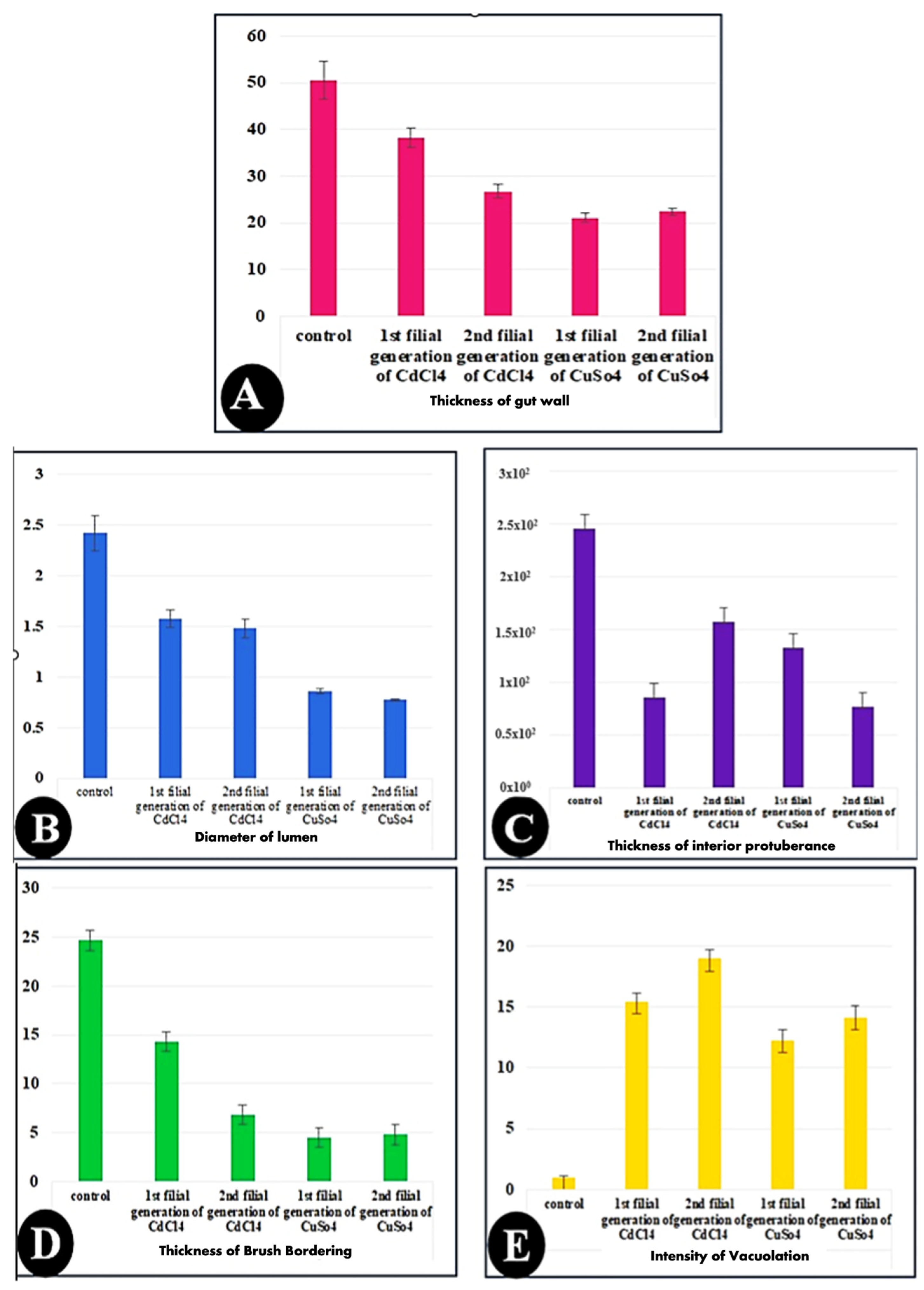 Biology 14 01004 g006 Biology 14 01004 g006