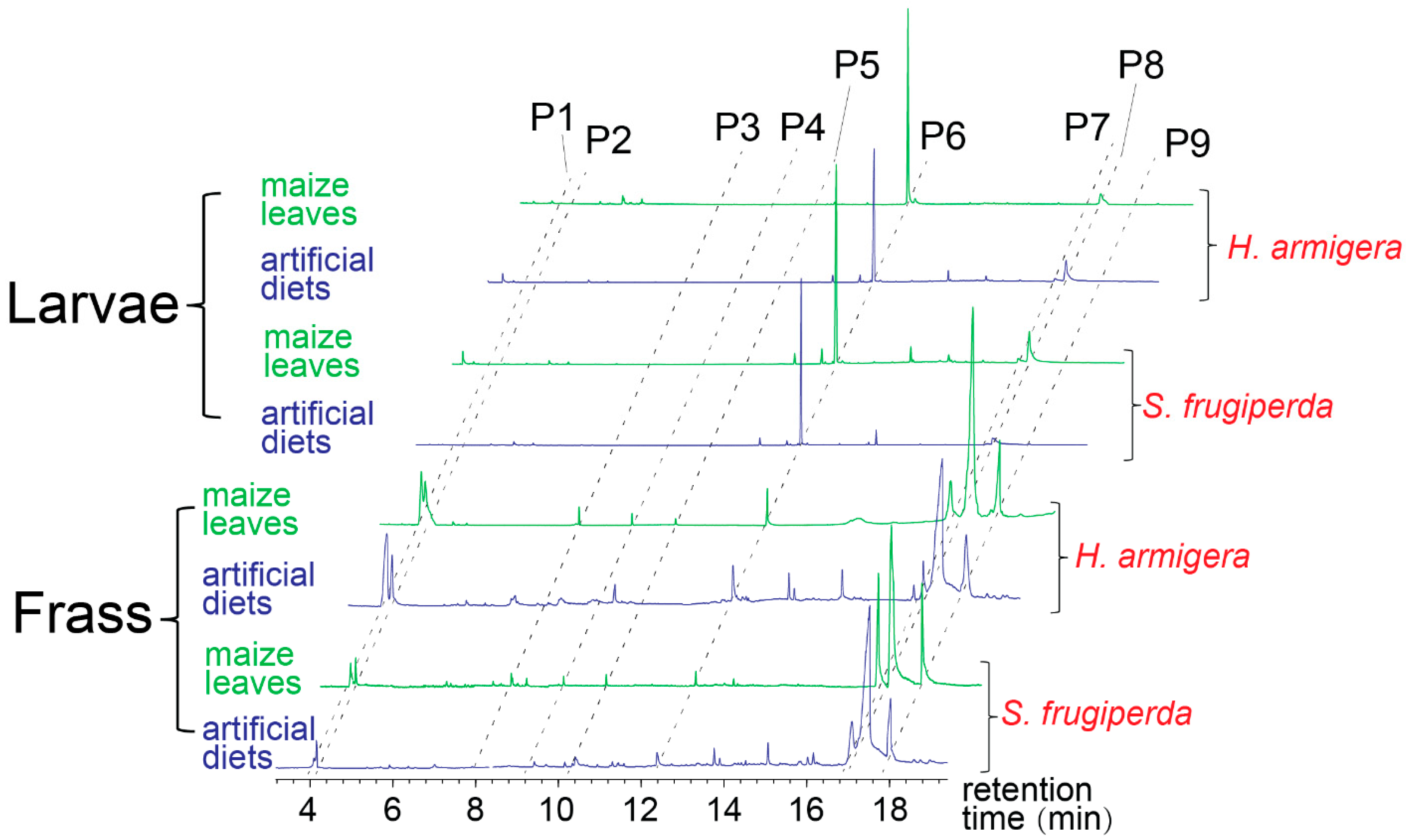 Biology 14 01007 g002 Biology 14 01007 g002