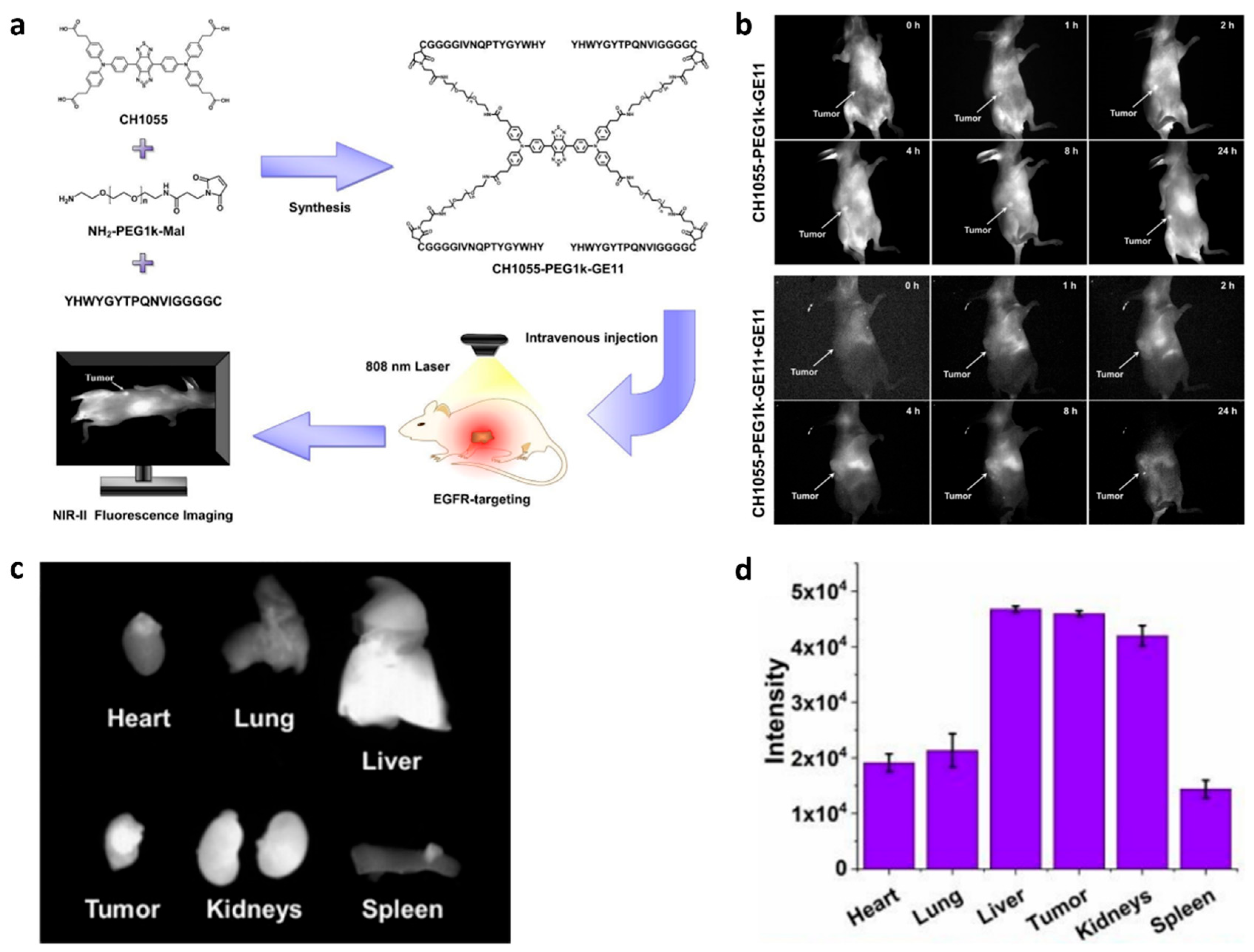 Biology 14 01011 g002