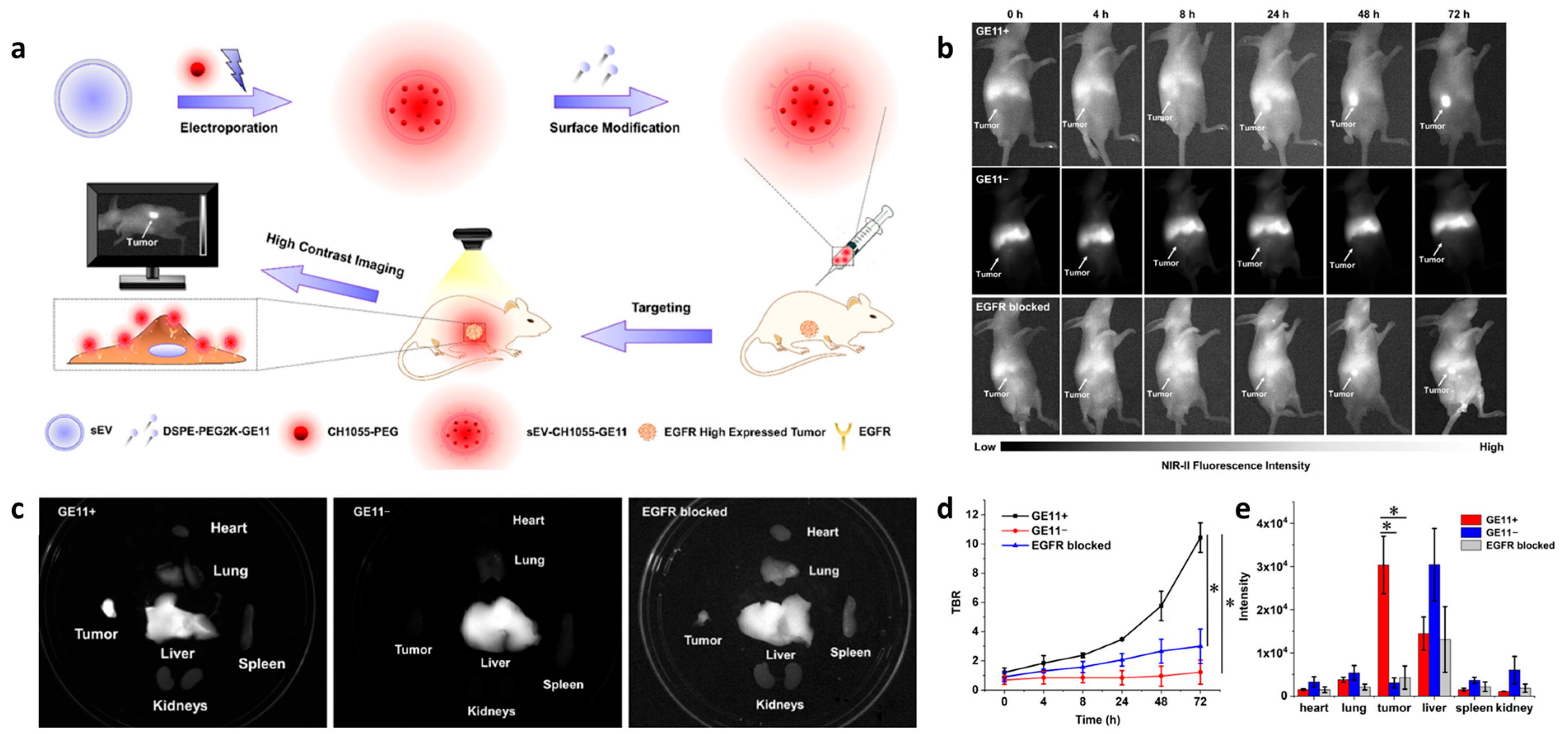 Biology 14 01011 g003