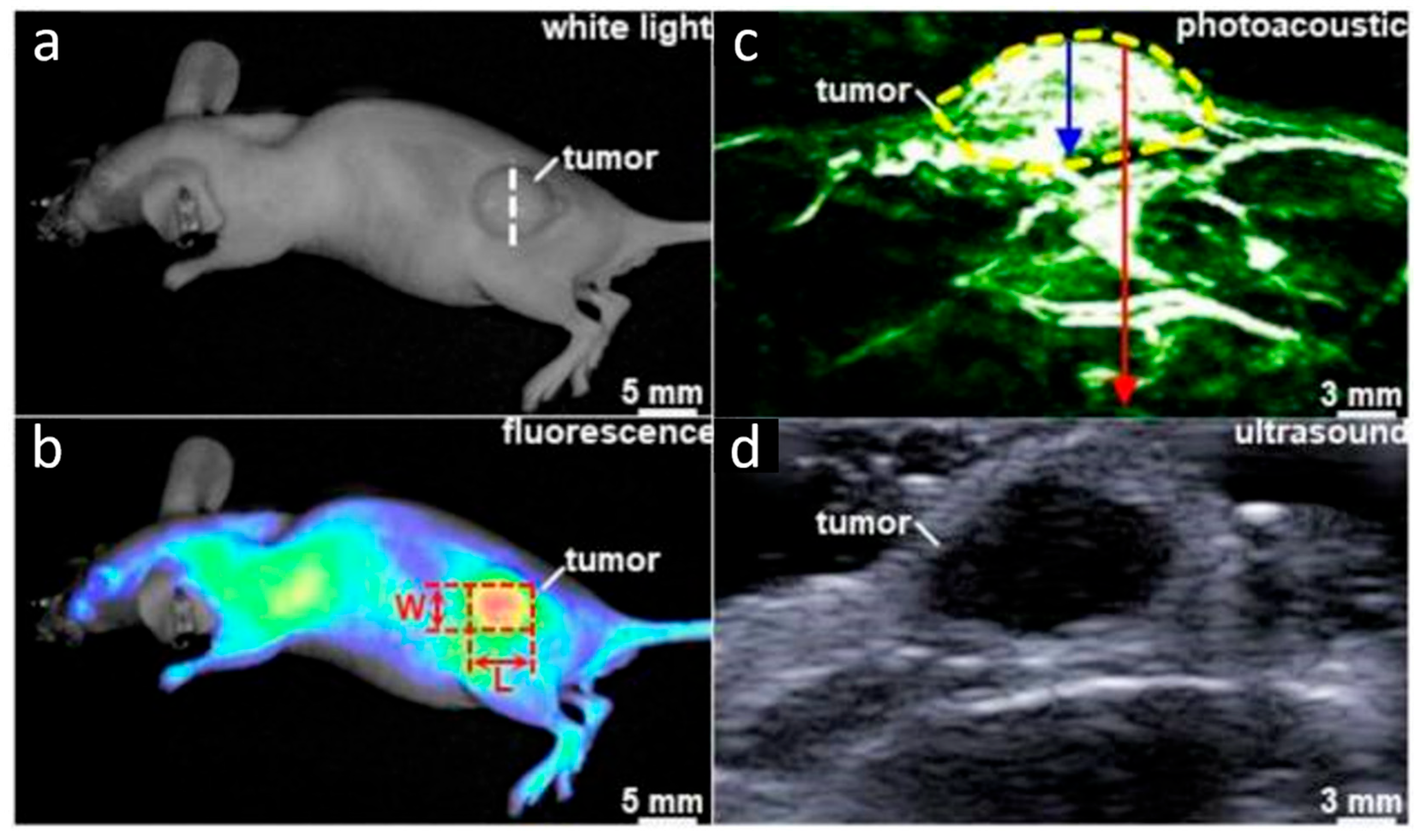 Biology 14 01011 g004