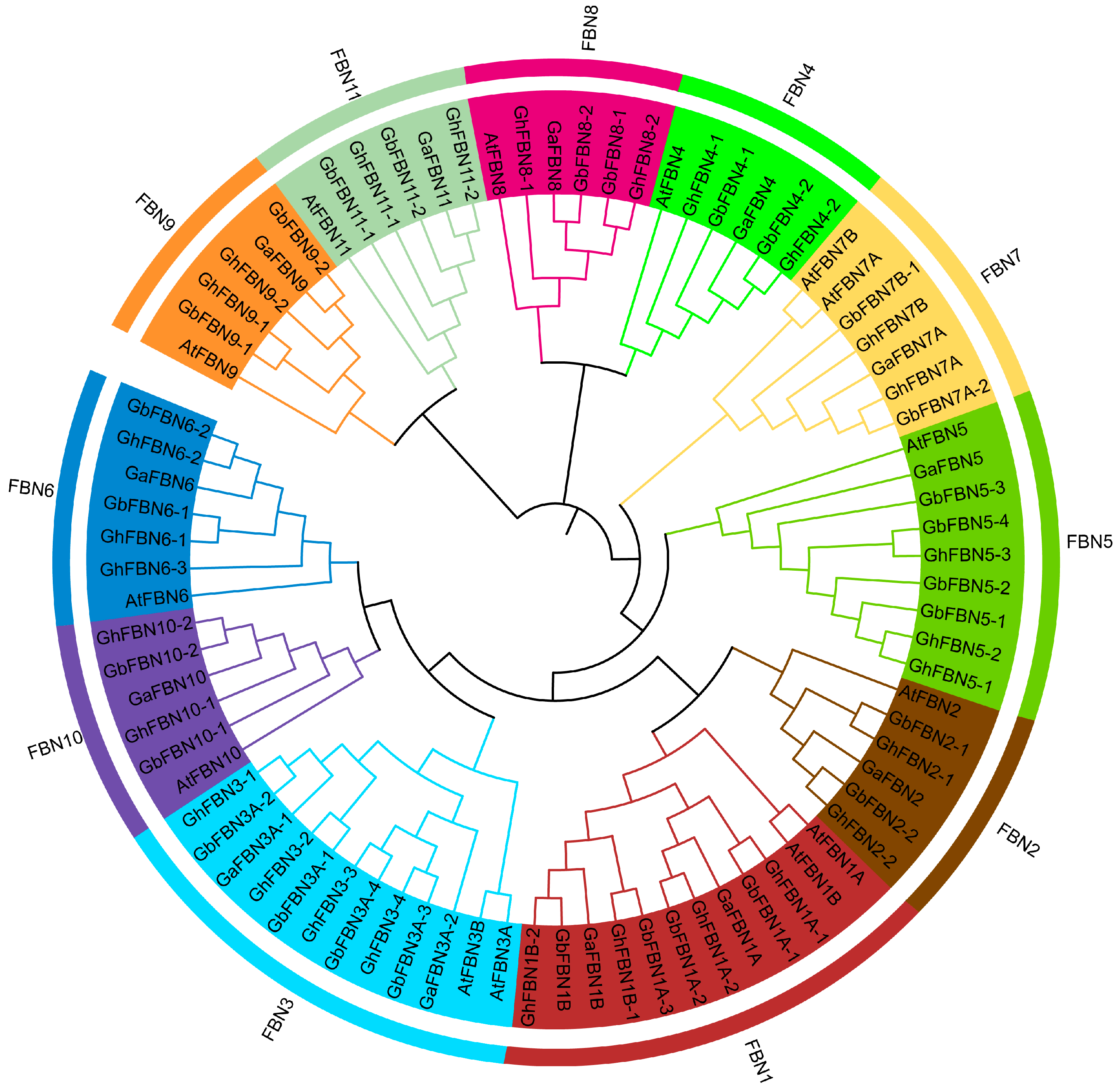 Biology 14 01012 g001