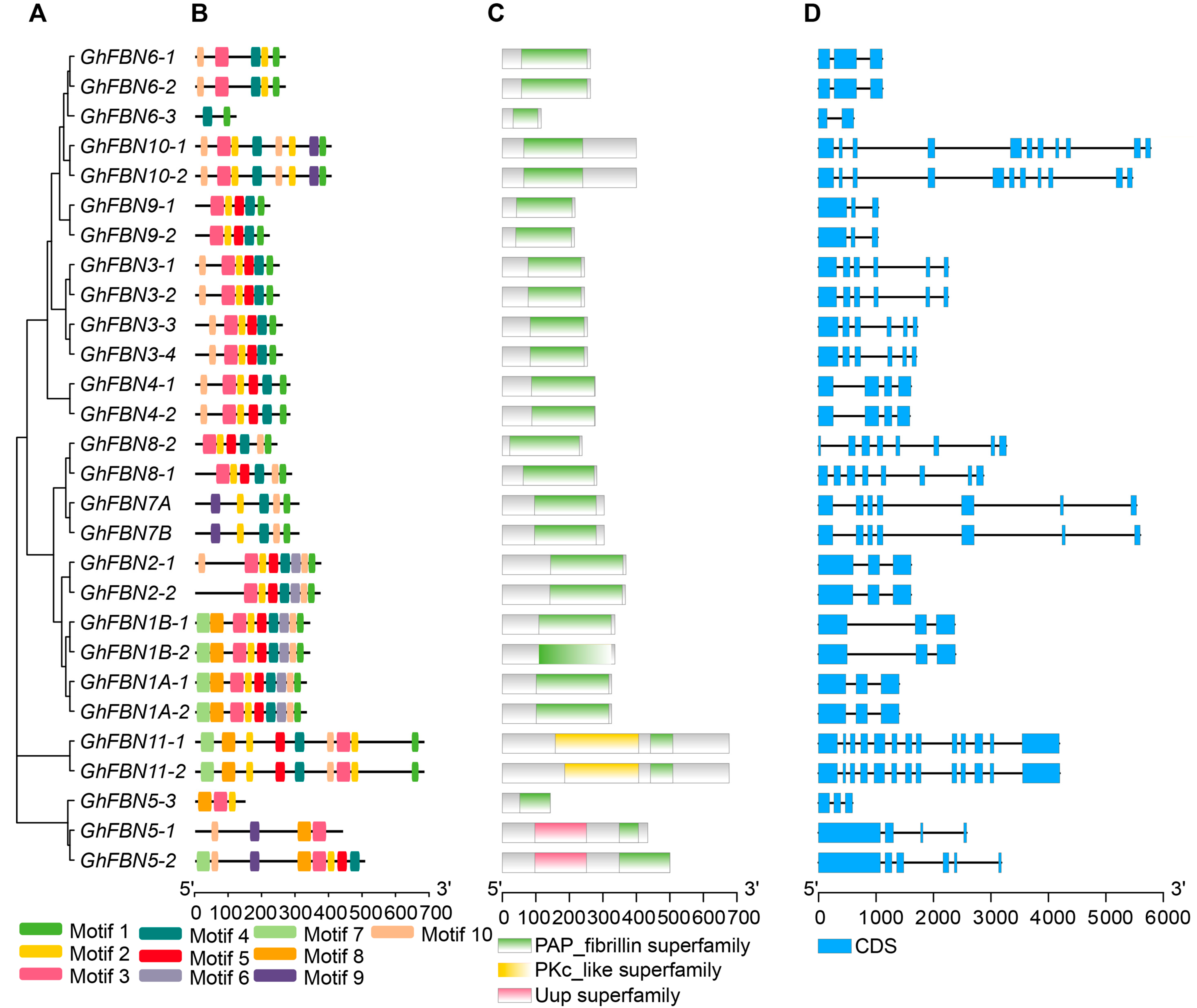 Biology 14 01012 g002