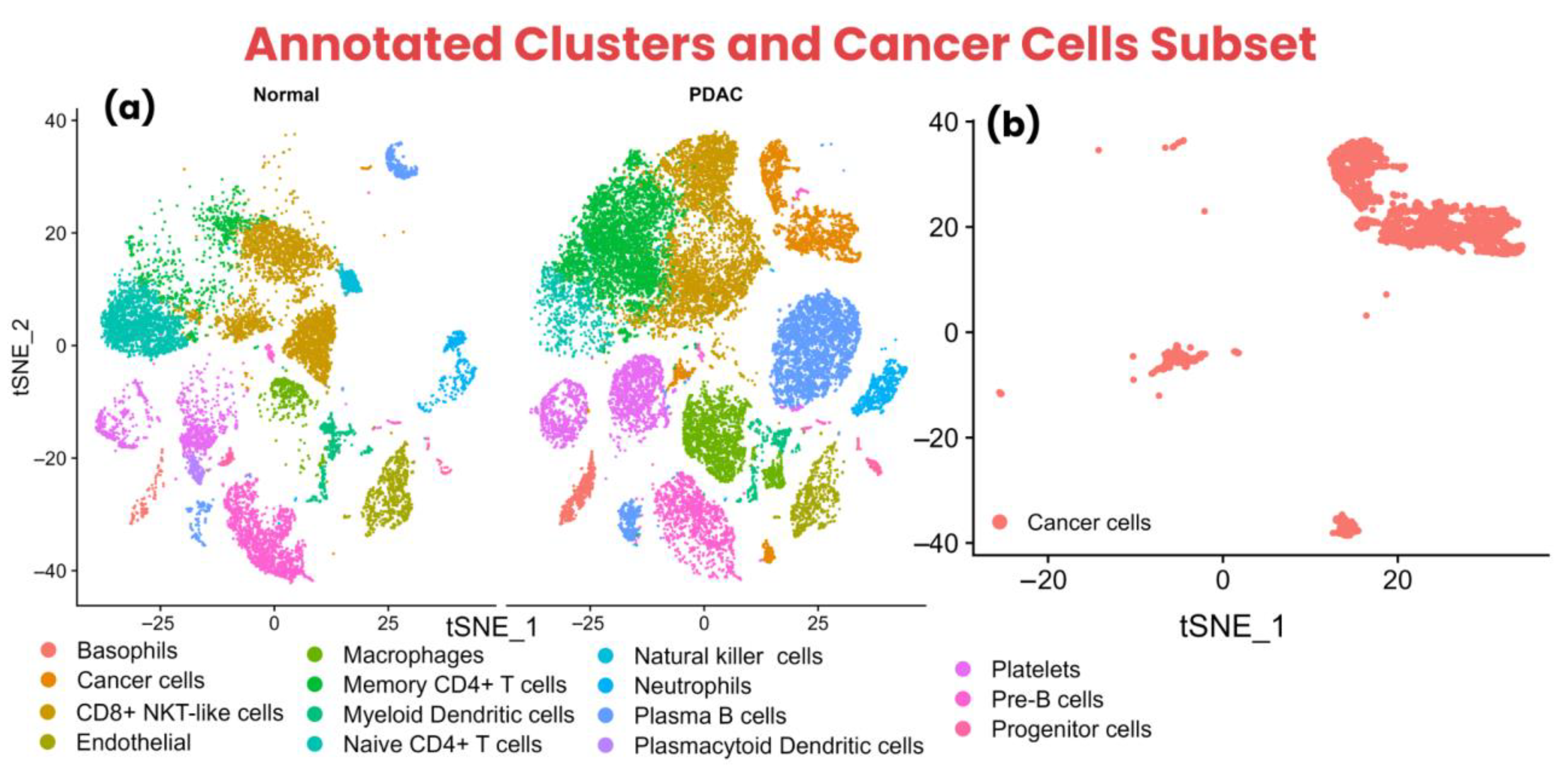 Biology 14 01015 g002 Biology 14 01015 g002