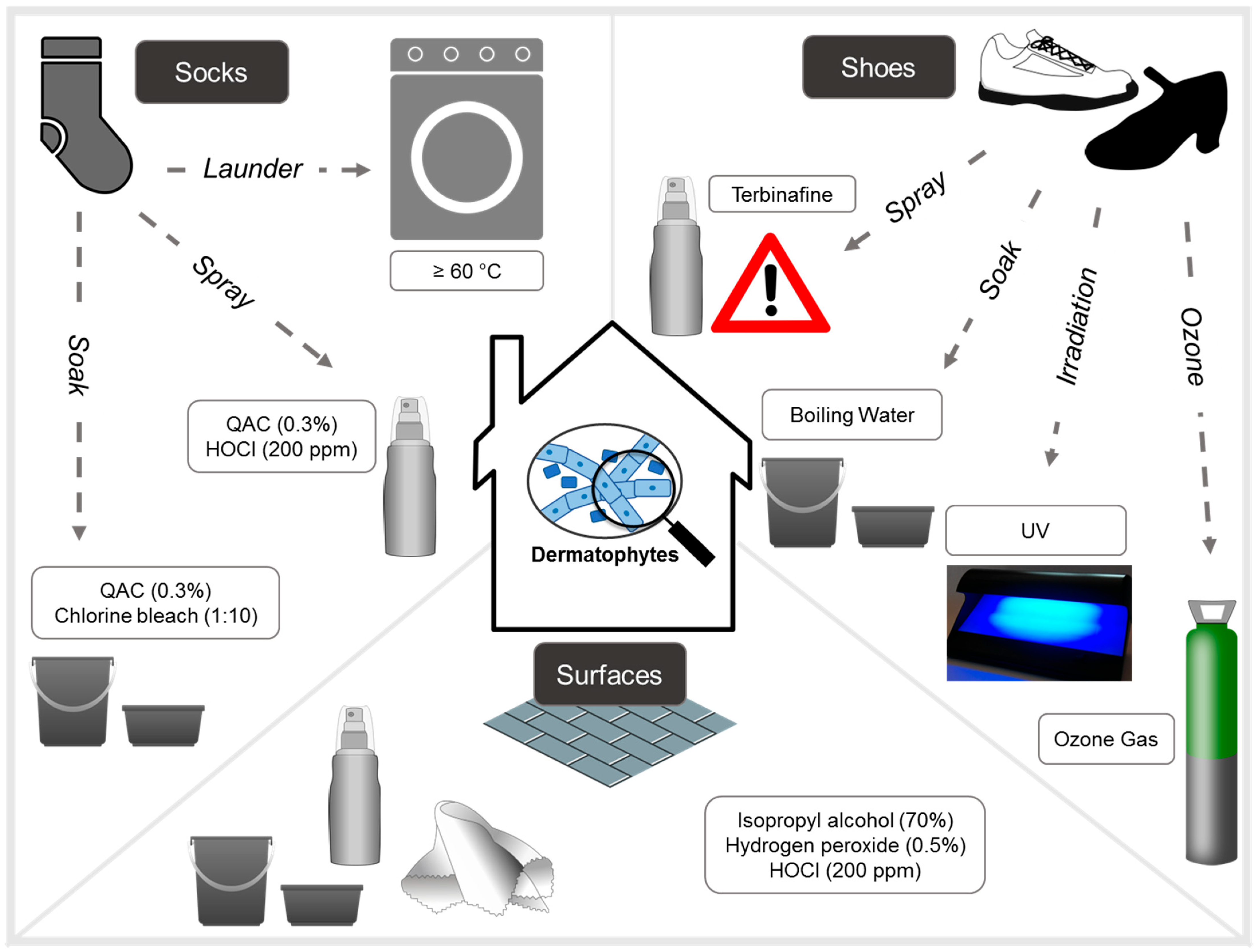 Biology 14 01016 g001 Biology 14 01016 g001