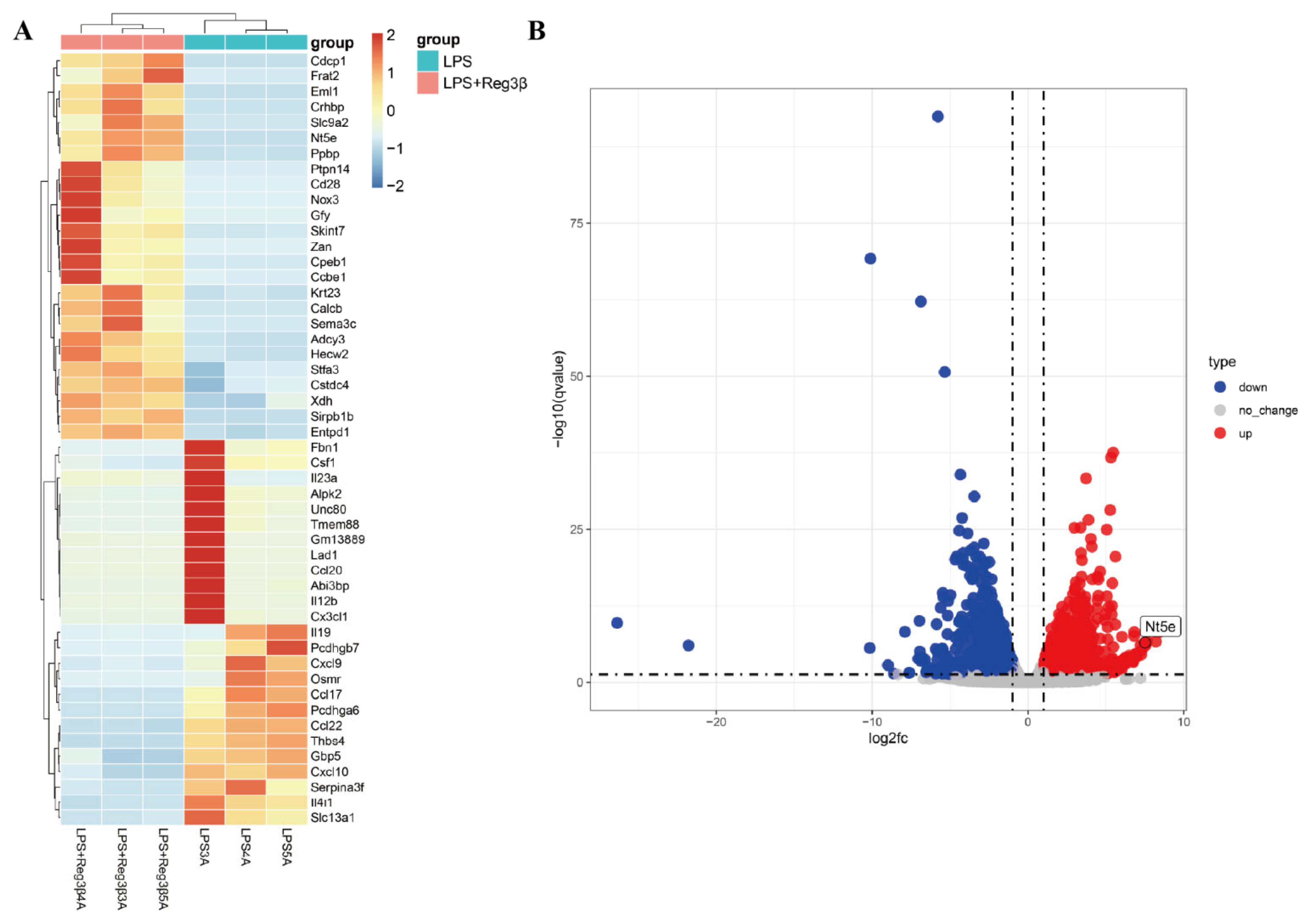 Biology 14 01017 g001