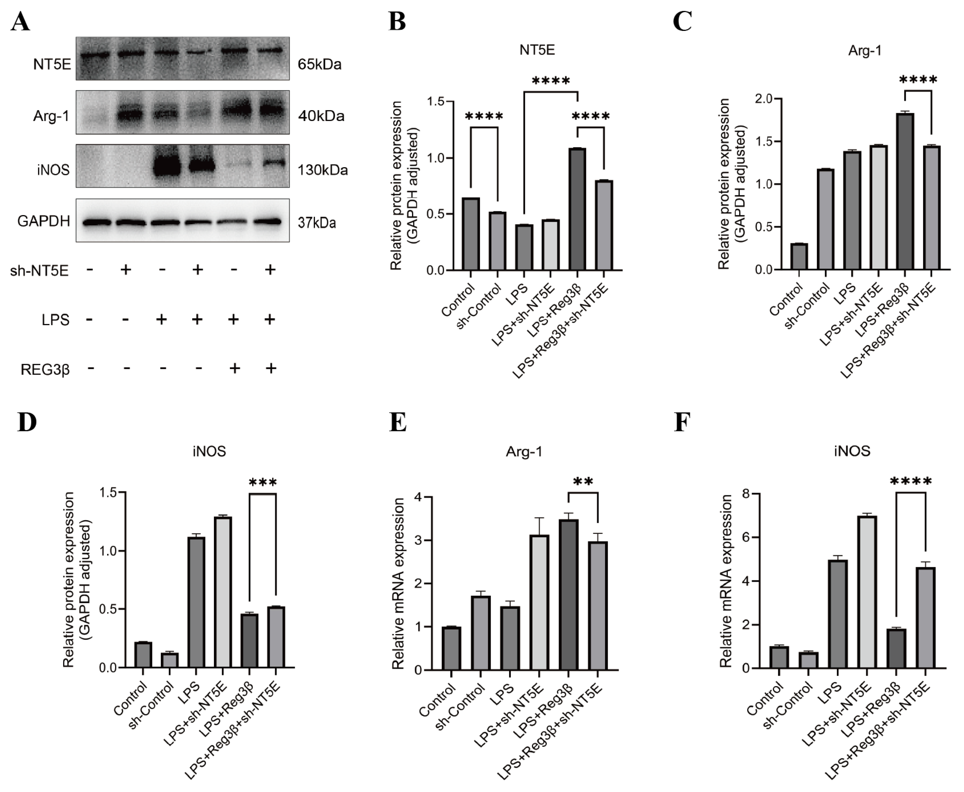 Biology 14 01017 g003
