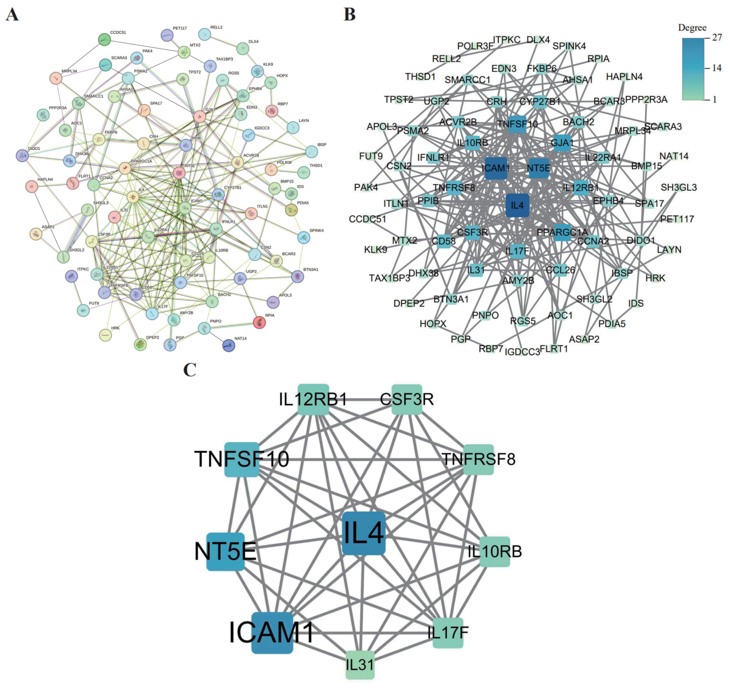 Biology 14 01017 g009