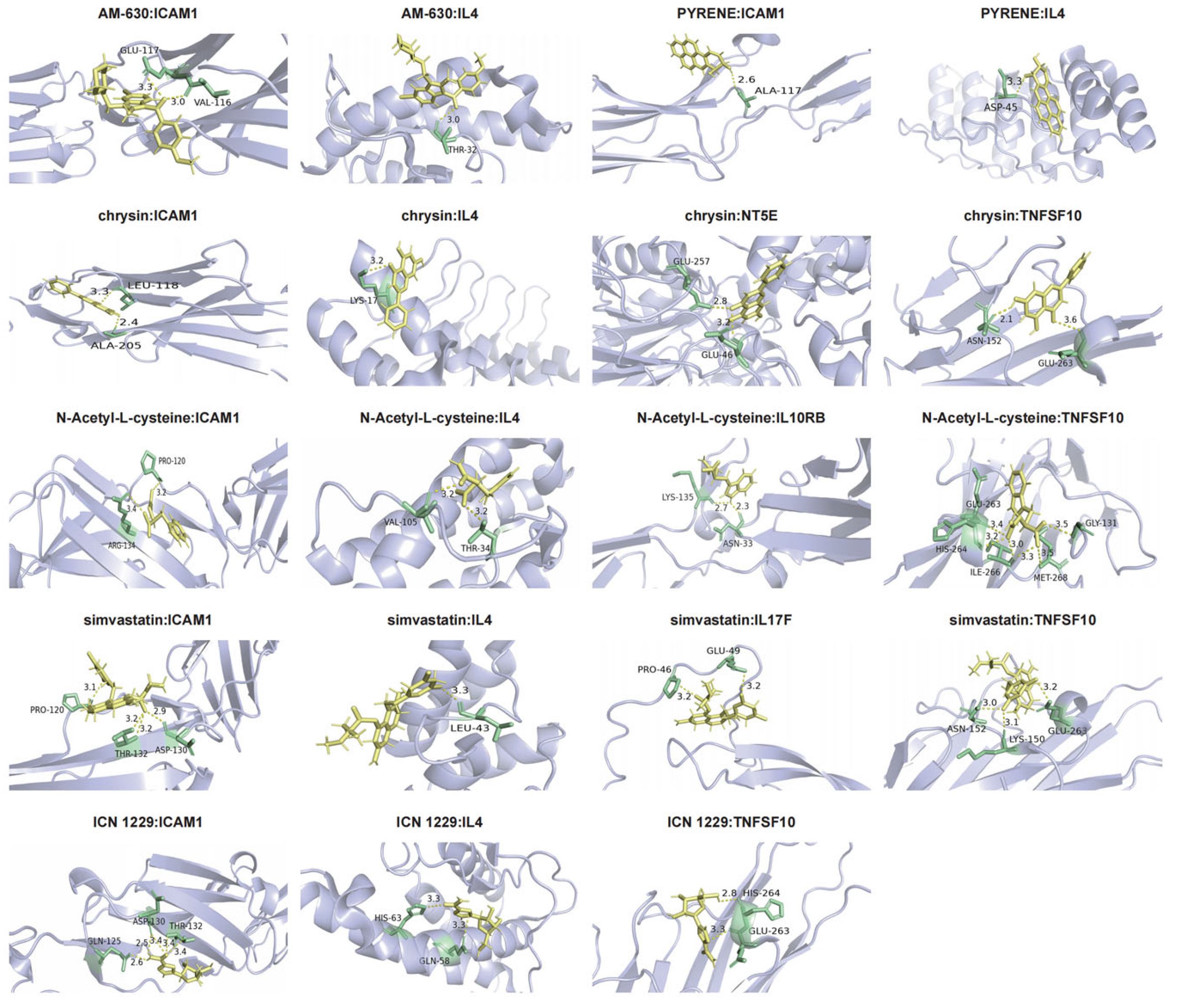 Biology 14 01017 g011