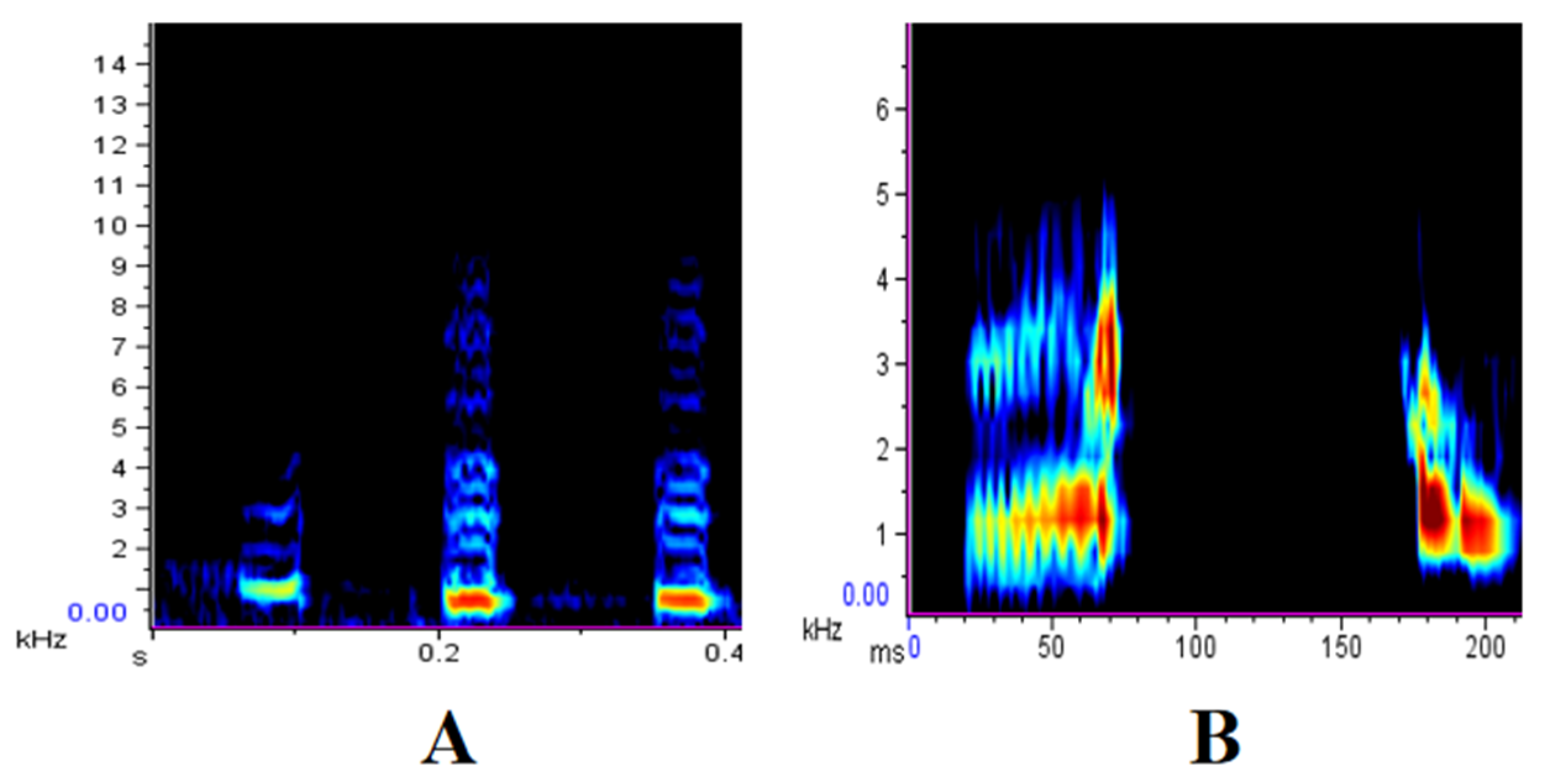 Biology 14 01028 g001