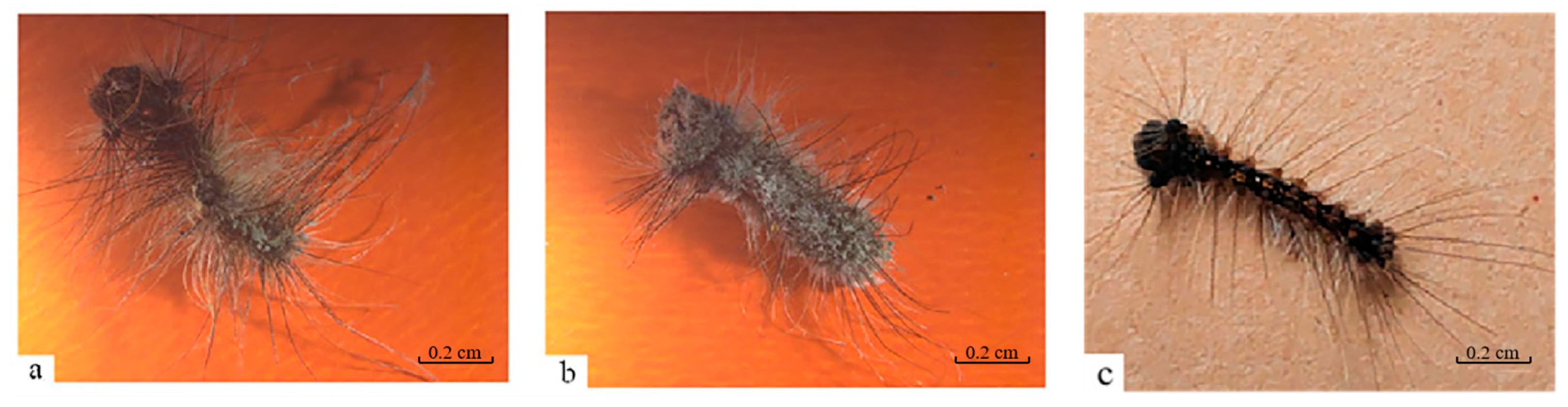 Biology 14 01029 g003