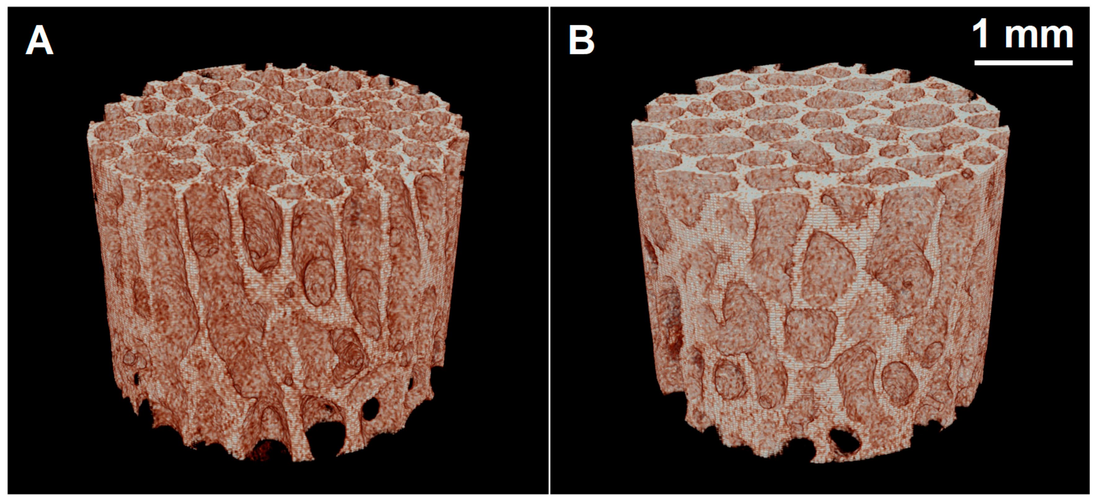 Biology 14 01031 g001