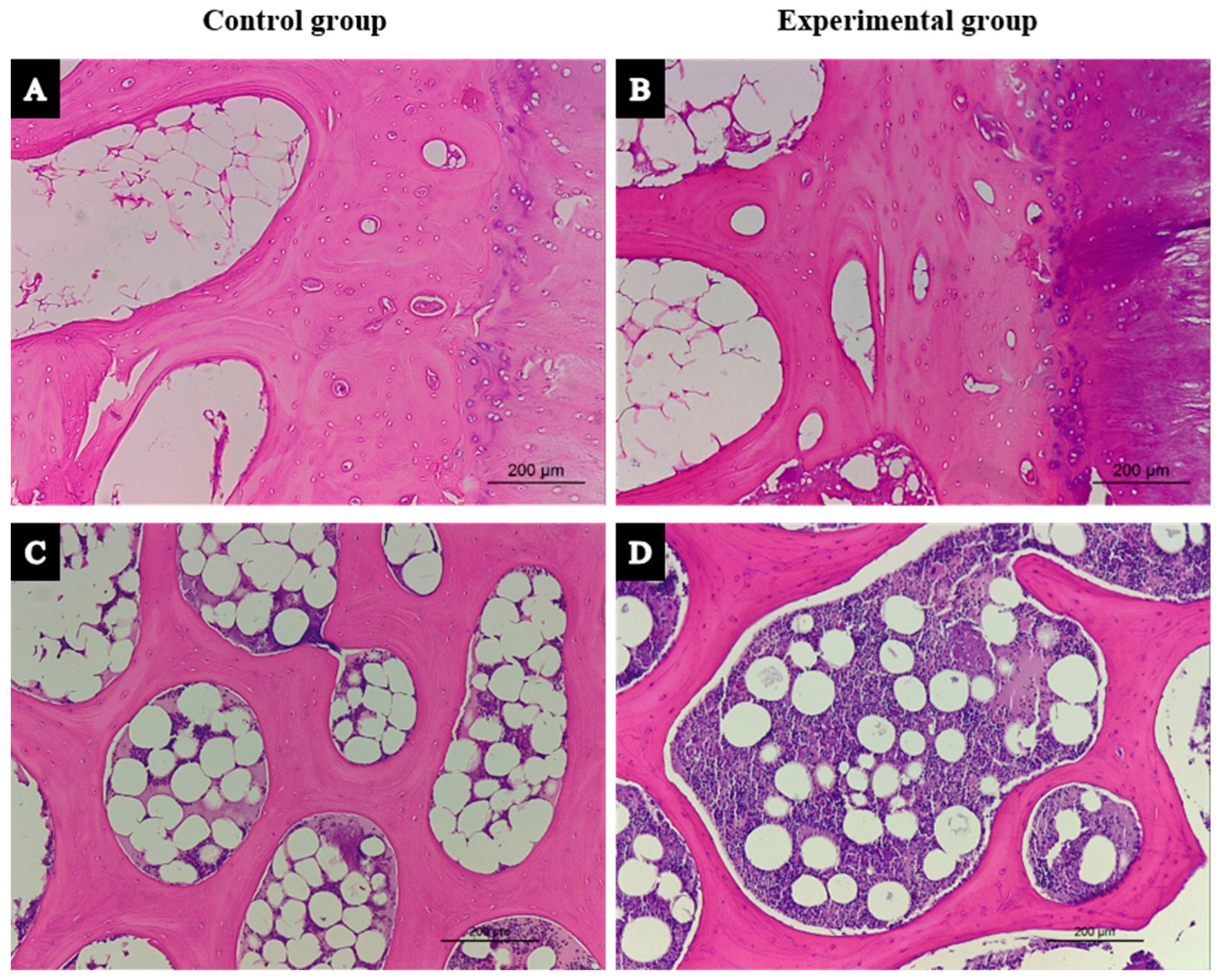 Biology 14 01031 g002