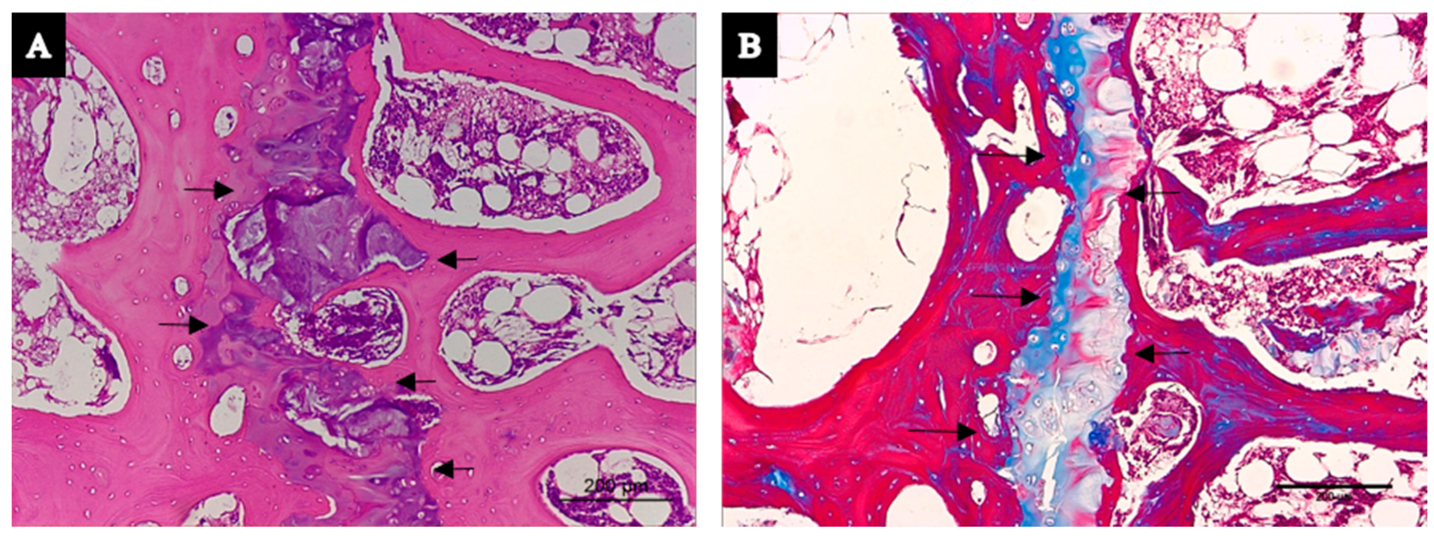 Biology 14 01031 g003