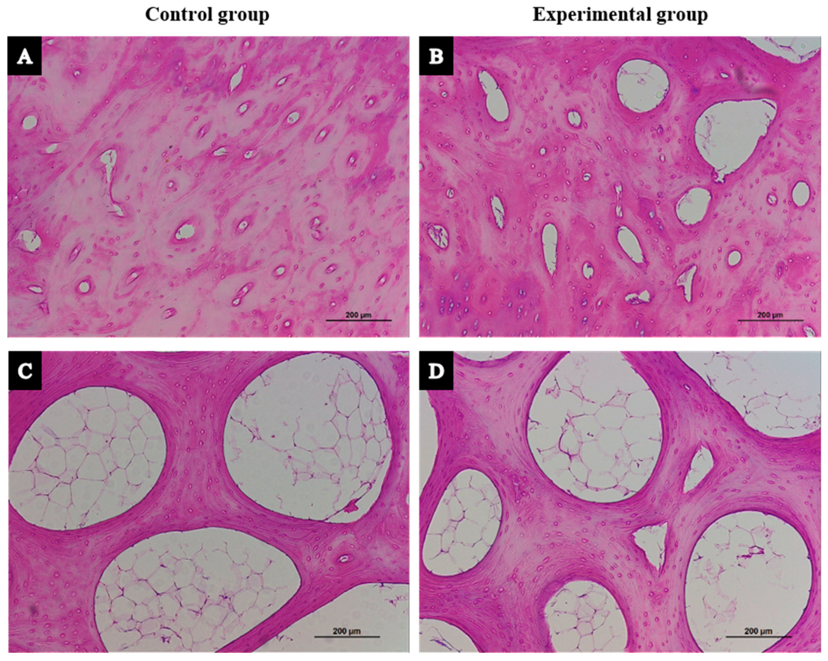 Biology 14 01031 g004