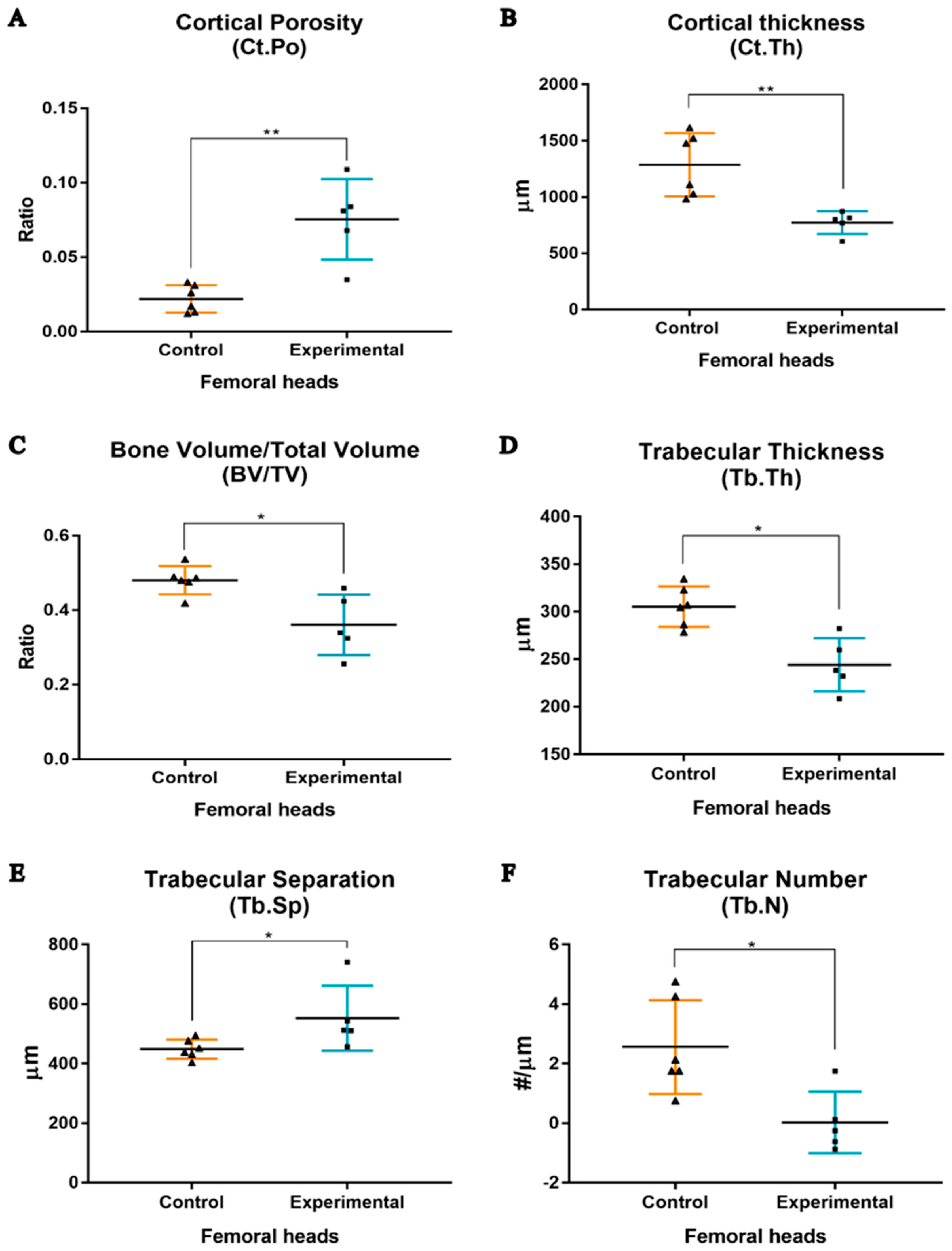 Biology 14 01031 g007