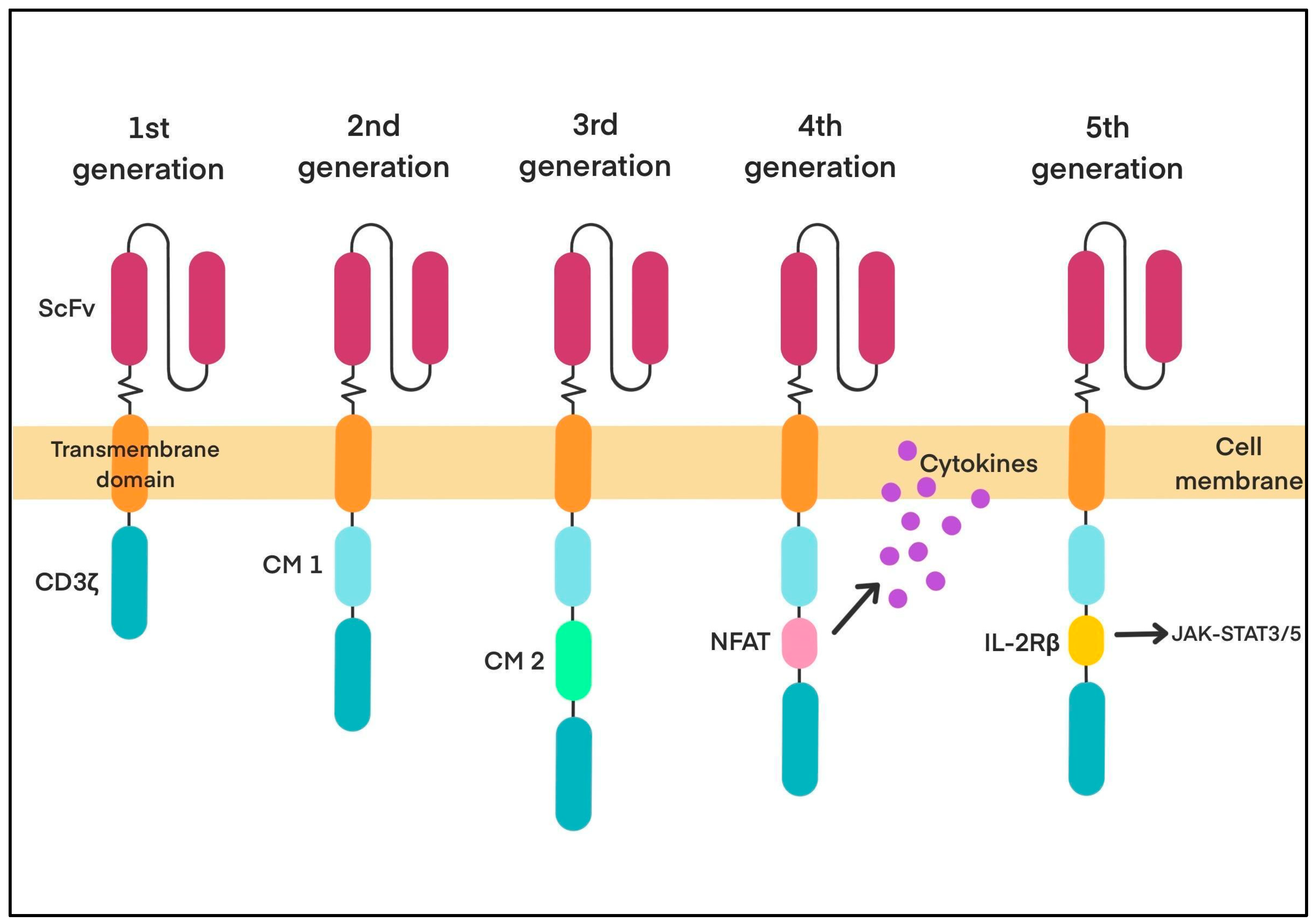 Biology 14 01035 g002