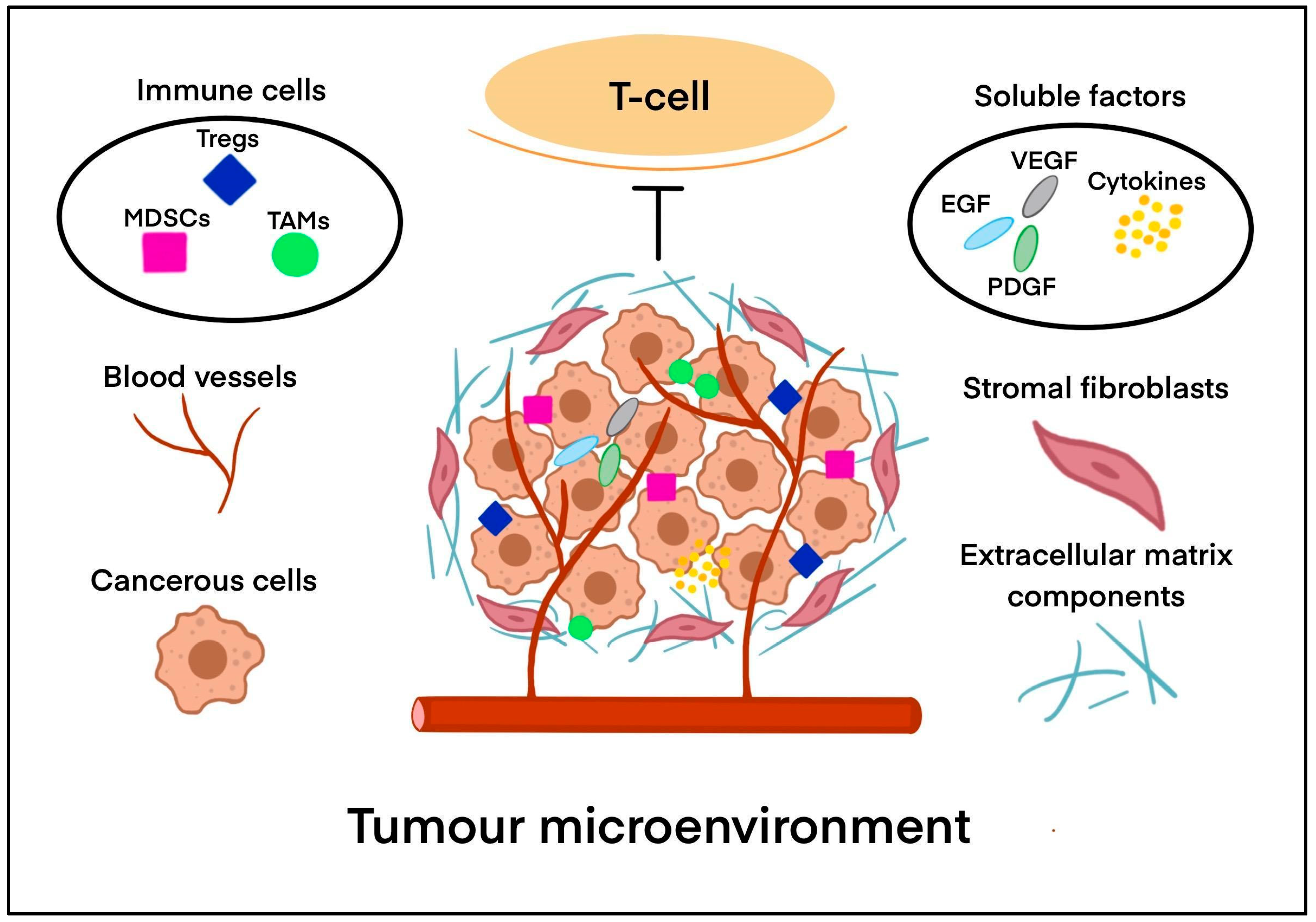 Biology 14 01035 g003