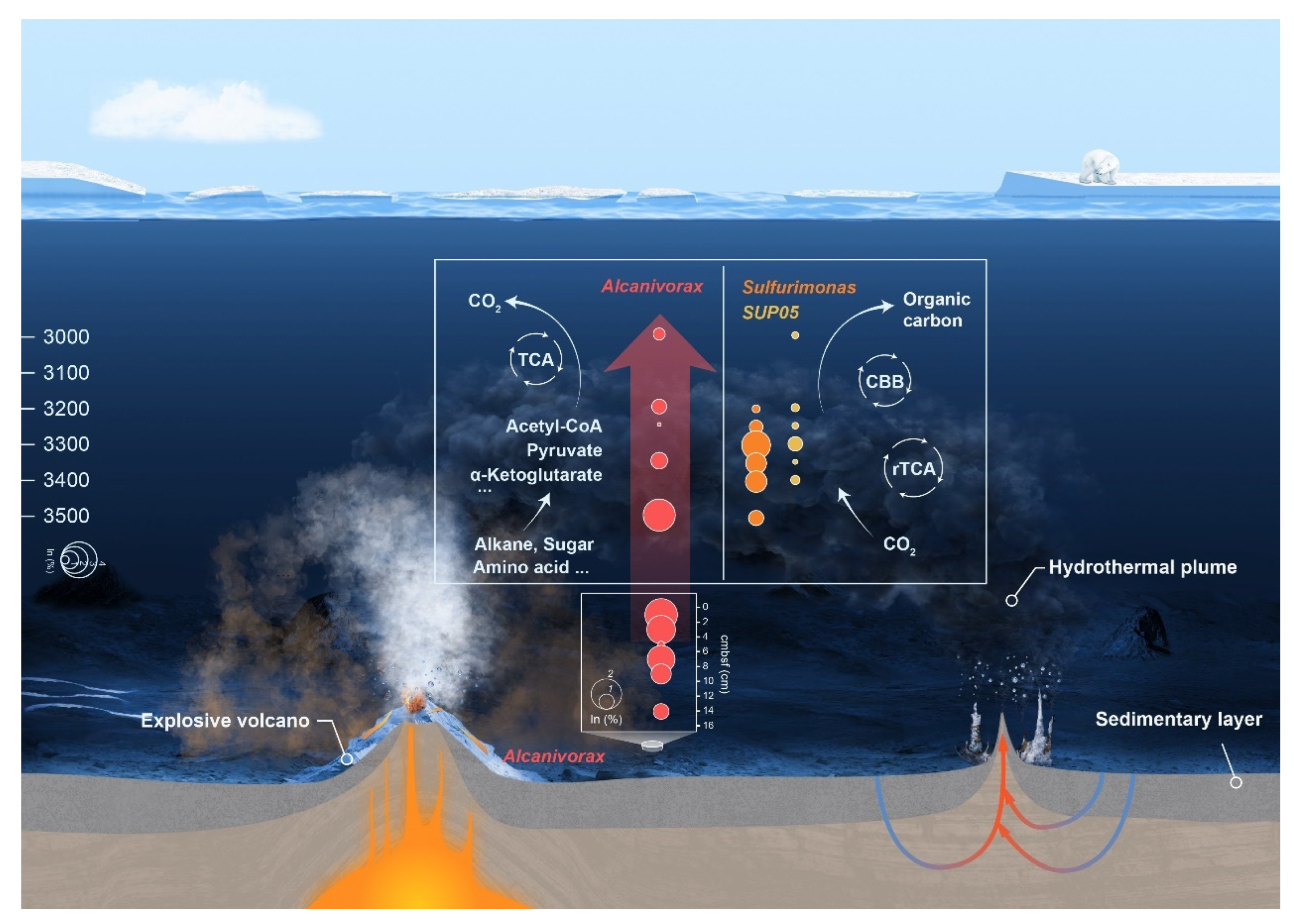 Biology 14 01036 g006