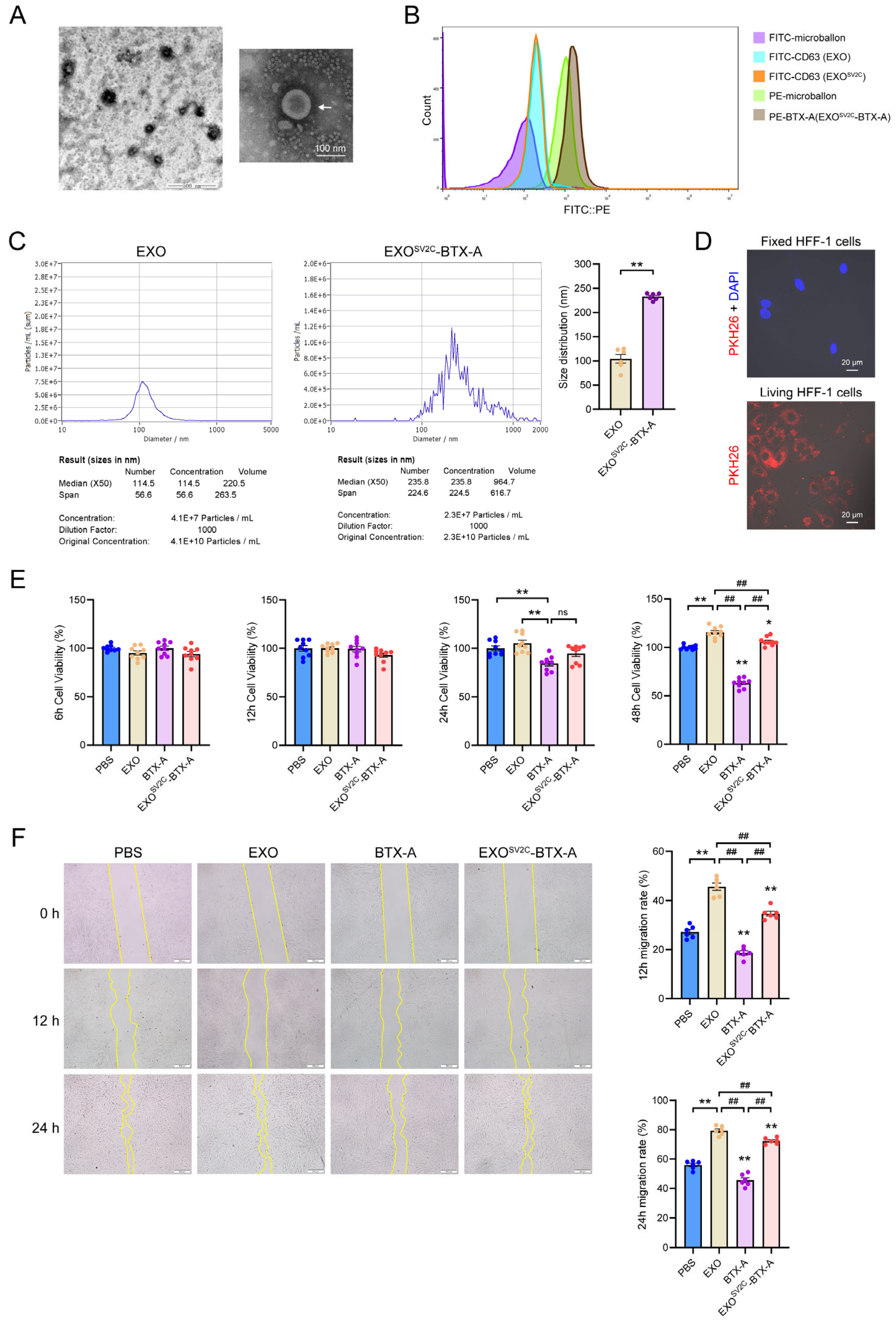 Biology 14 01040 g003 Biology 14 01040 g003