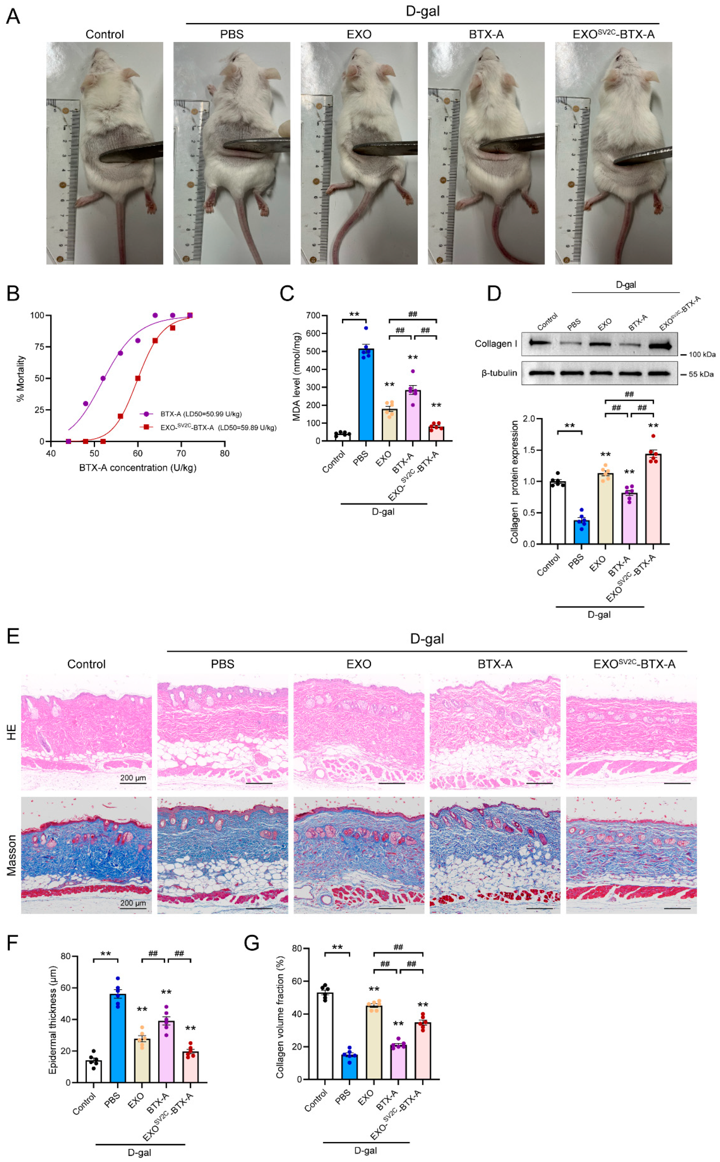 Biology 14 01040 g005 Biology 14 01040 g005