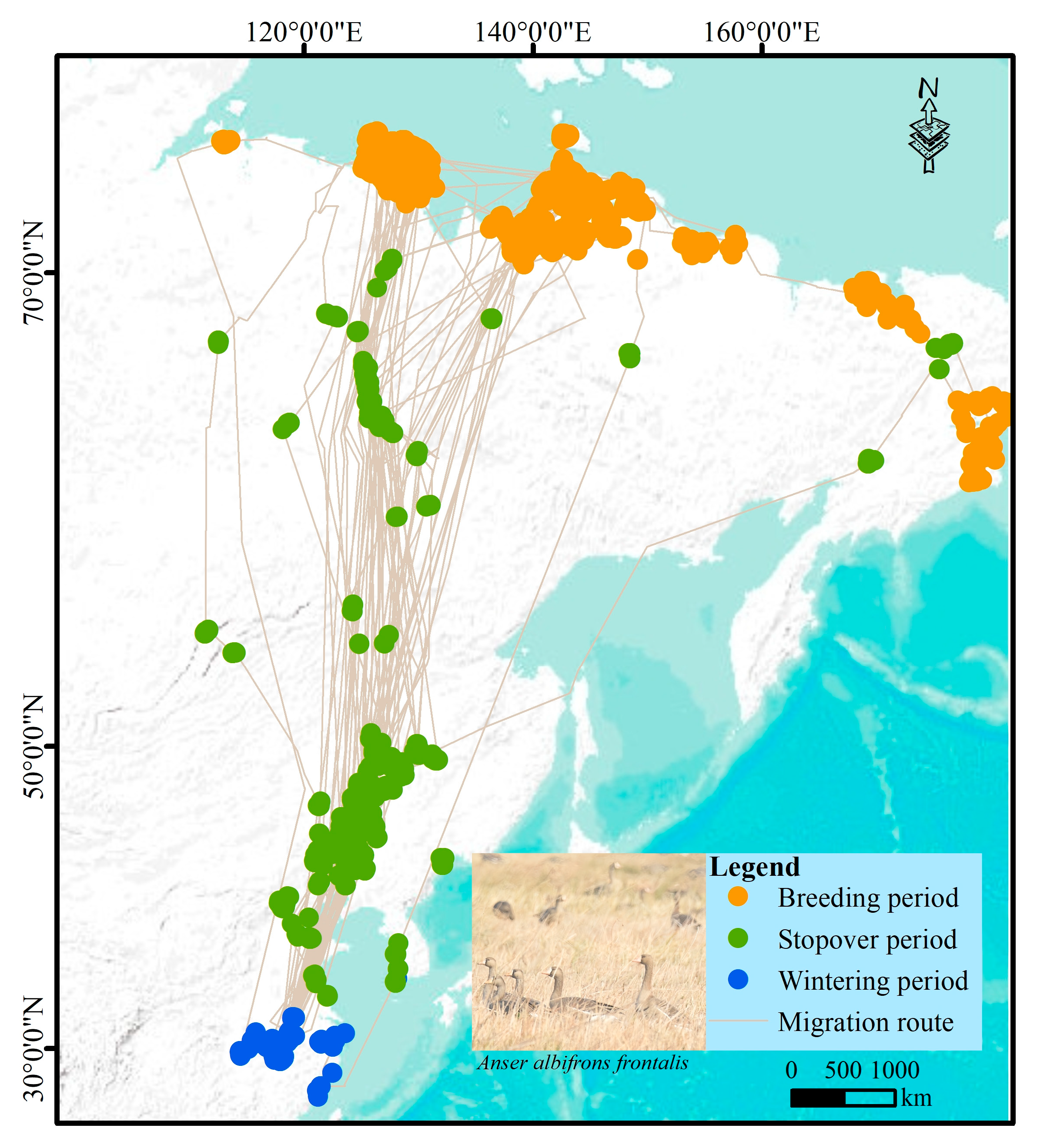 Biology 14 01050 g001 Biology 14 01050 g001