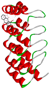 Biology 14 01052 i004