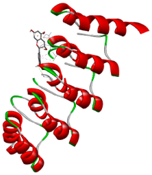 Biology 14 01052 i008