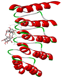 Biology 14 01052 i014