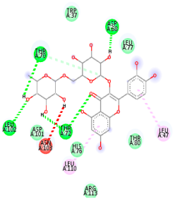 Biology 14 01052 i015