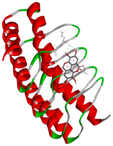 Biology 14 01052 i018