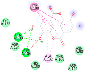 Biology 14 01052 i019