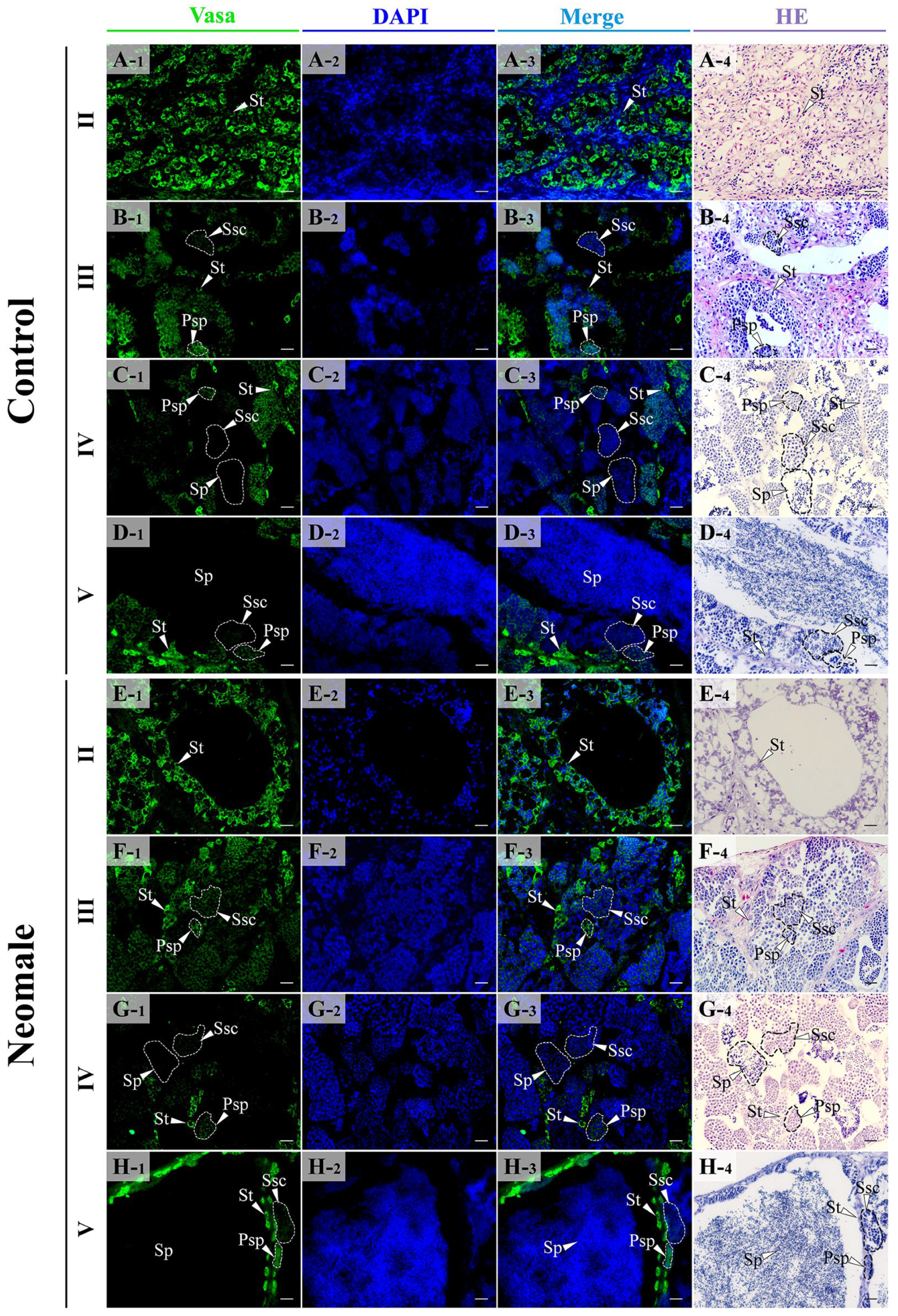 Biology 14 01054 g005 Biology 14 01054 g005