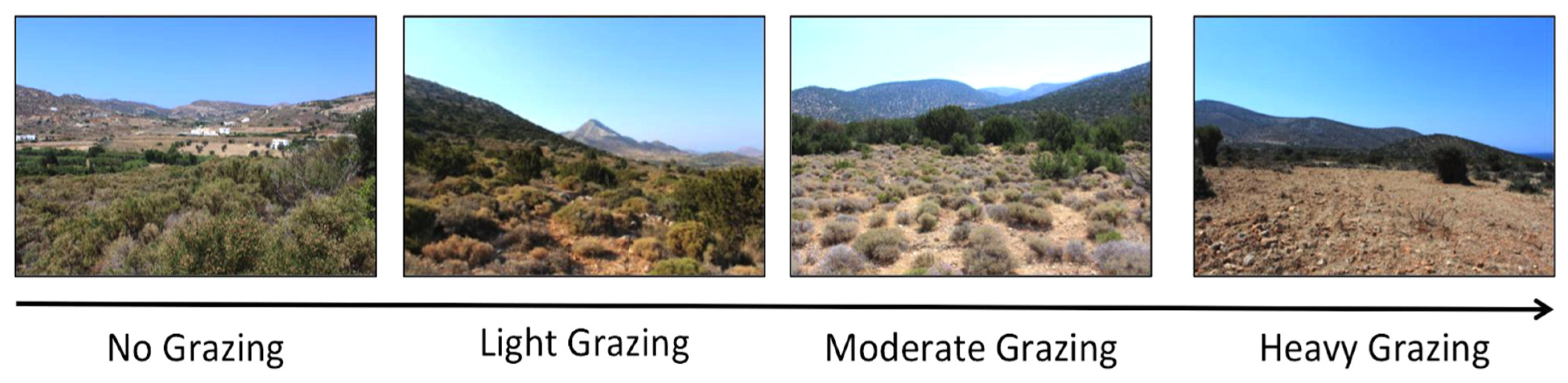 Biology 14 01057 g002