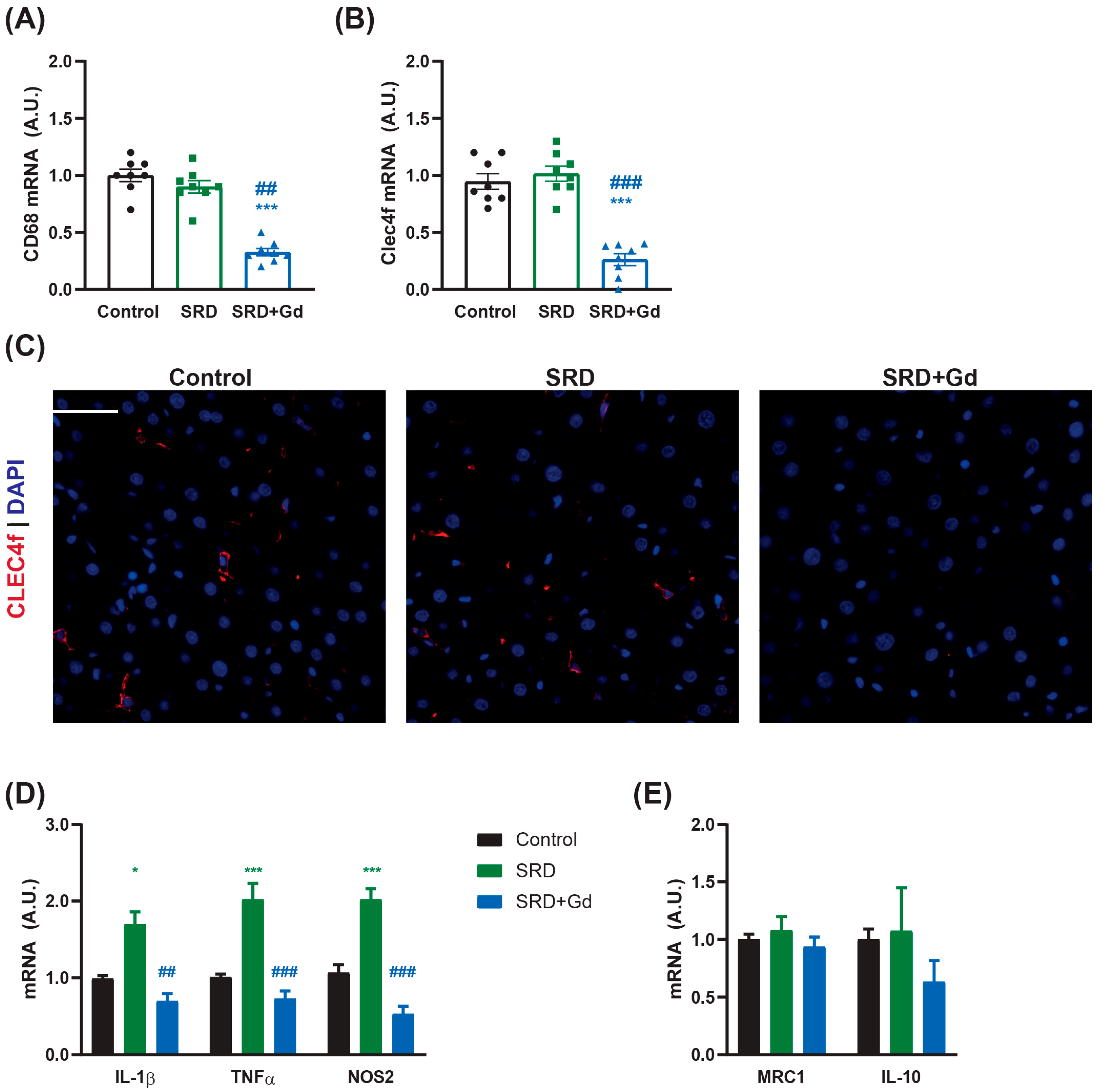 Biology 14 01058 g001