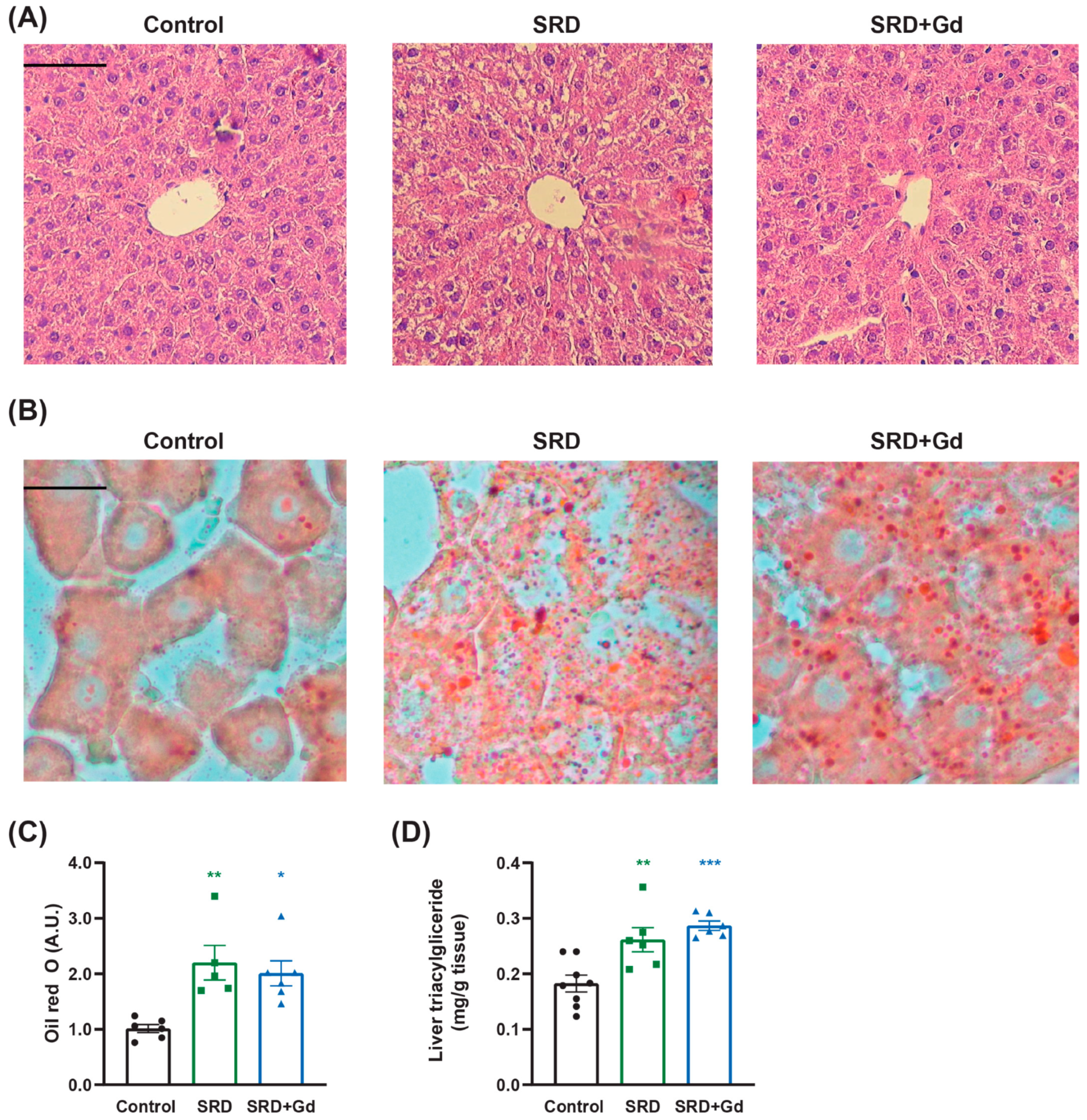 Biology 14 01058 g002