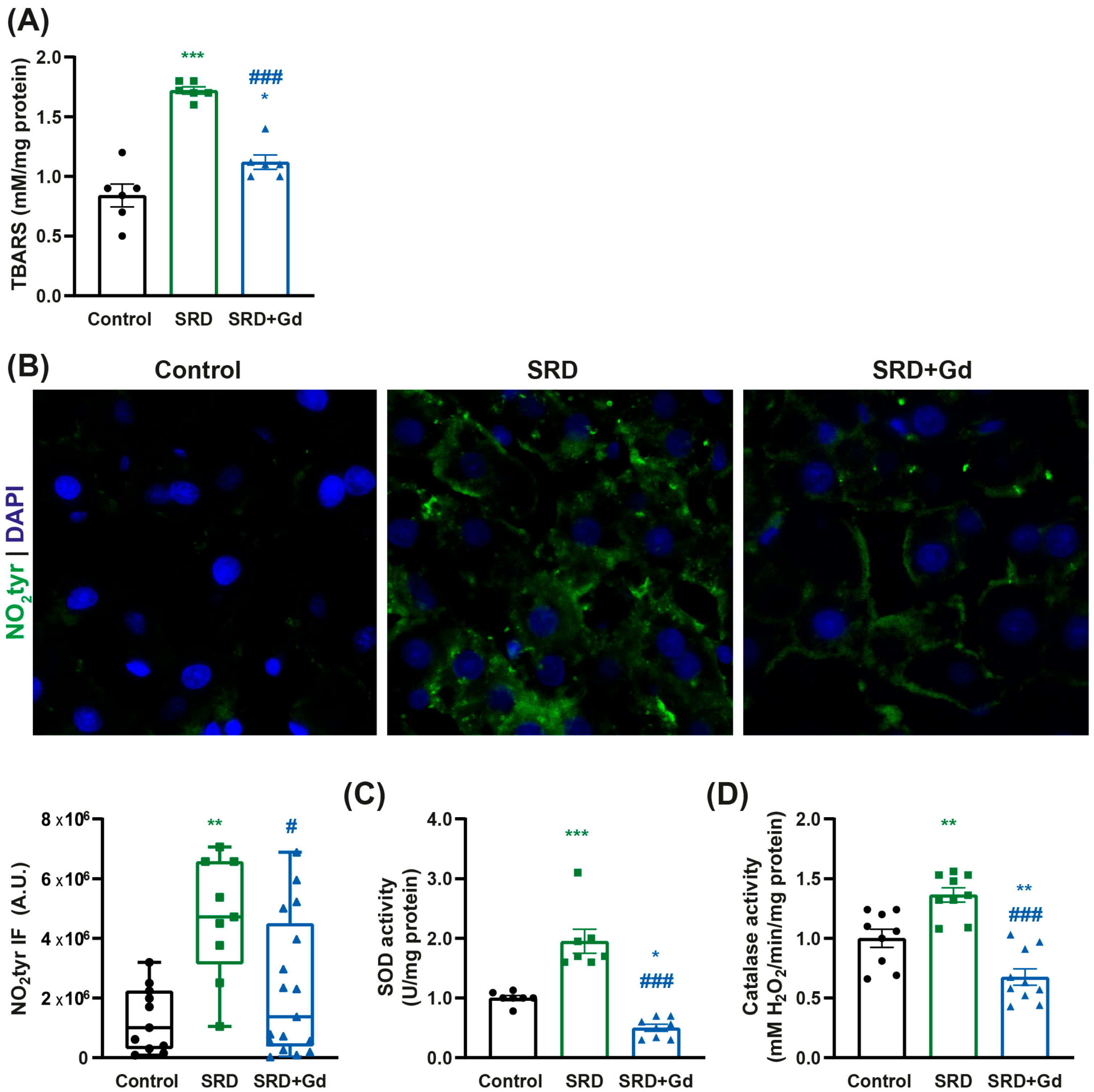 Biology 14 01058 g003