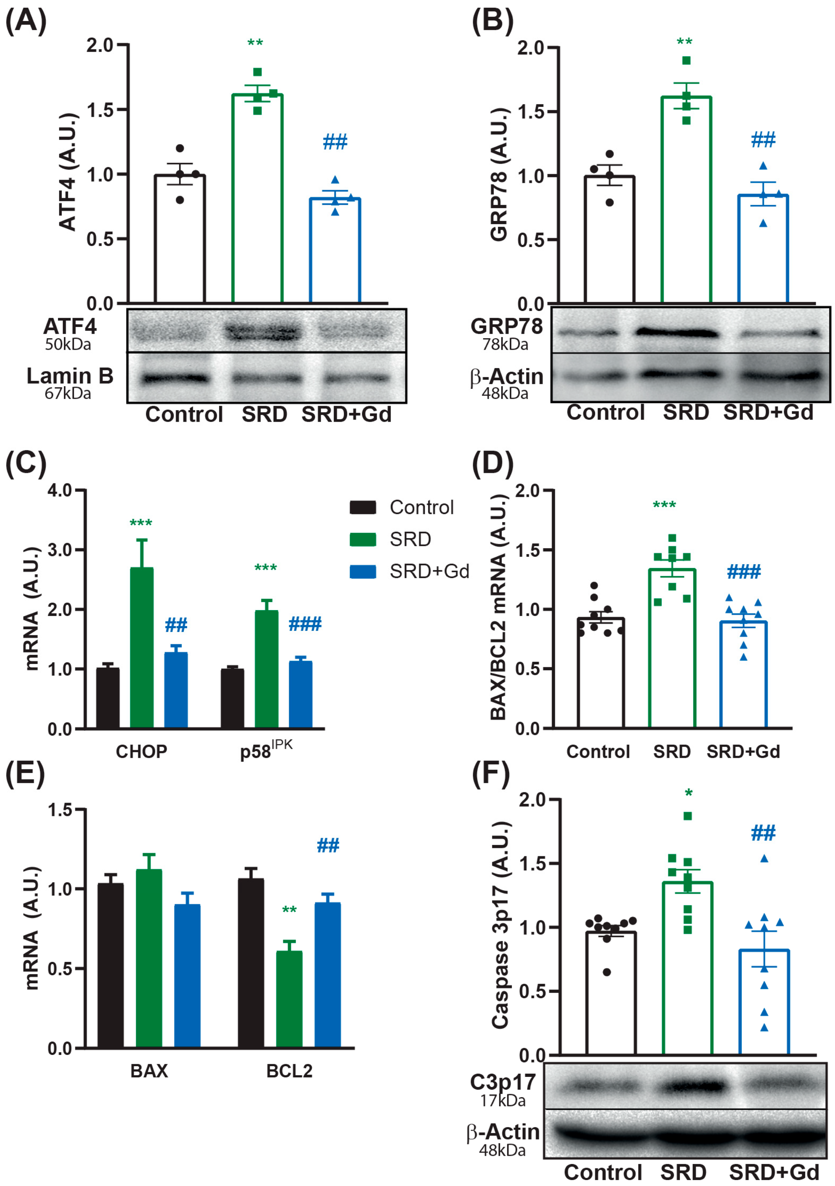 Biology 14 01058 g004