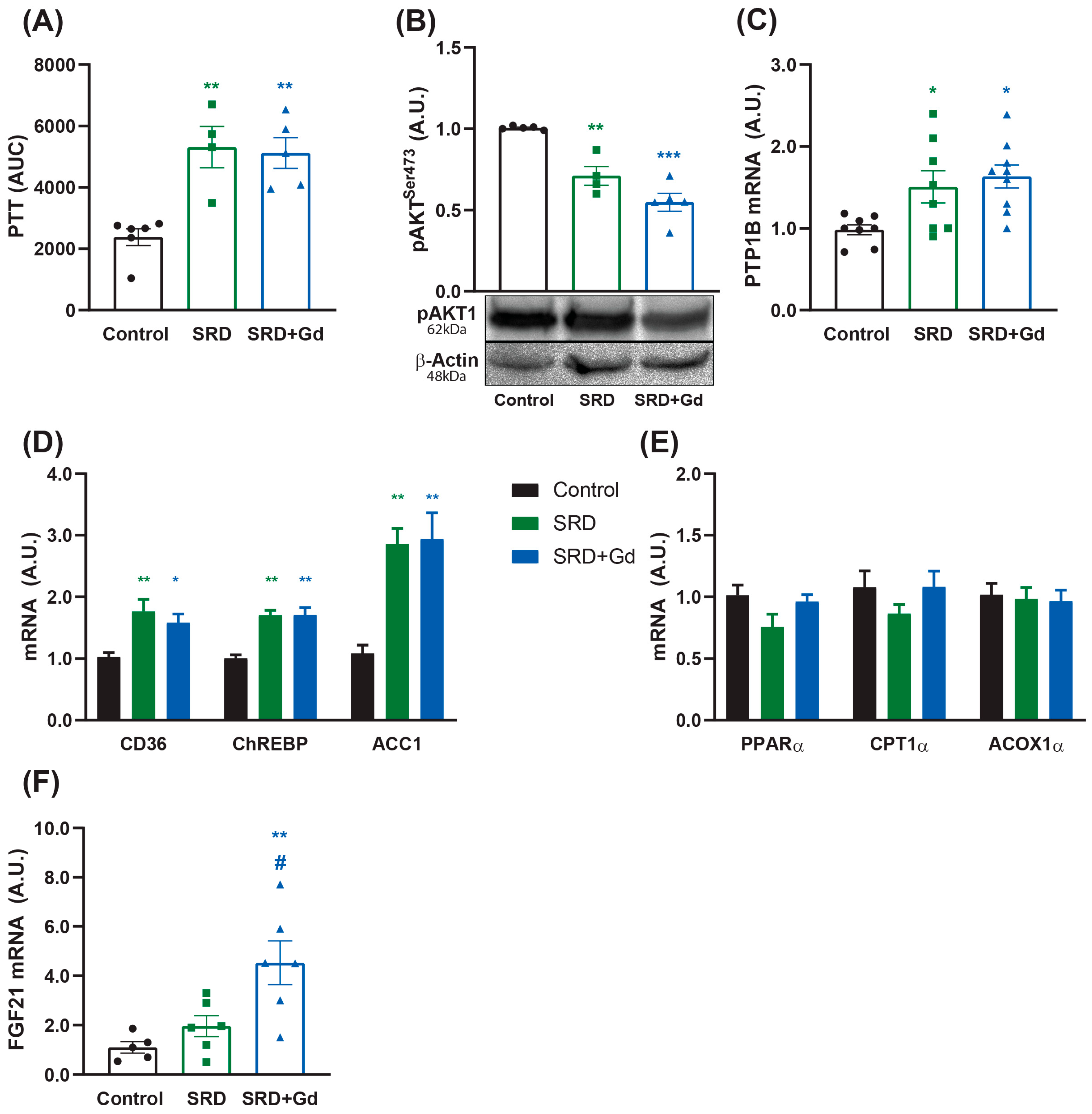 Biology 14 01058 g005