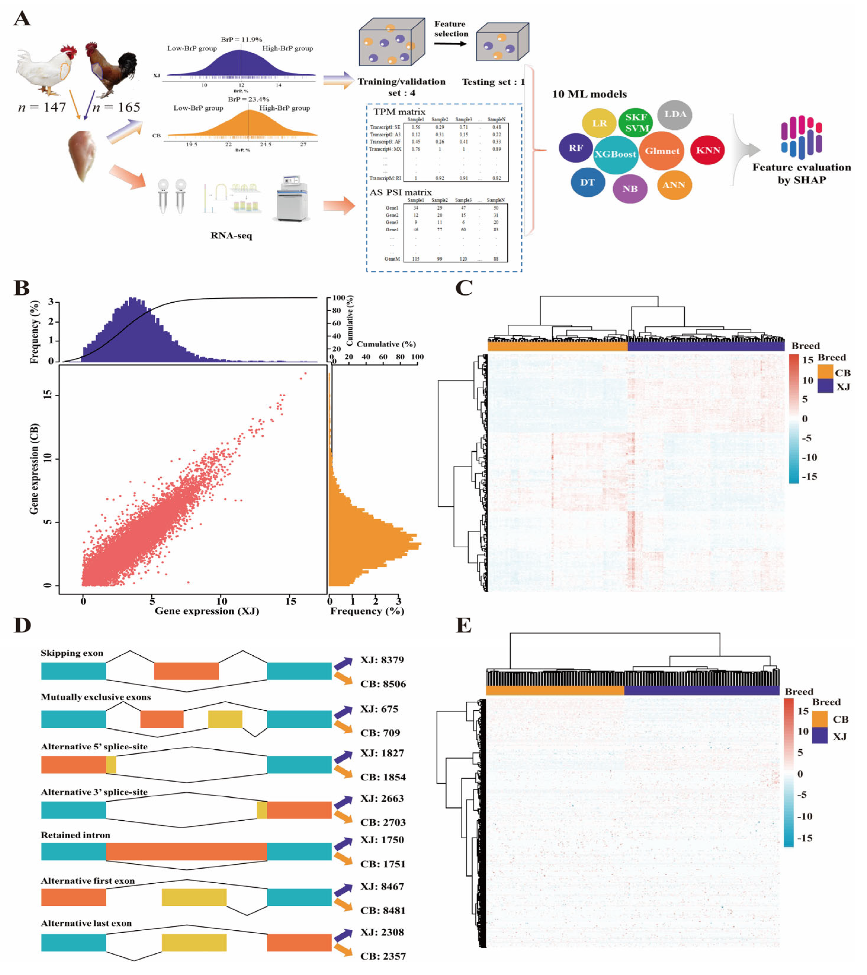 Biology 14 01059 g001