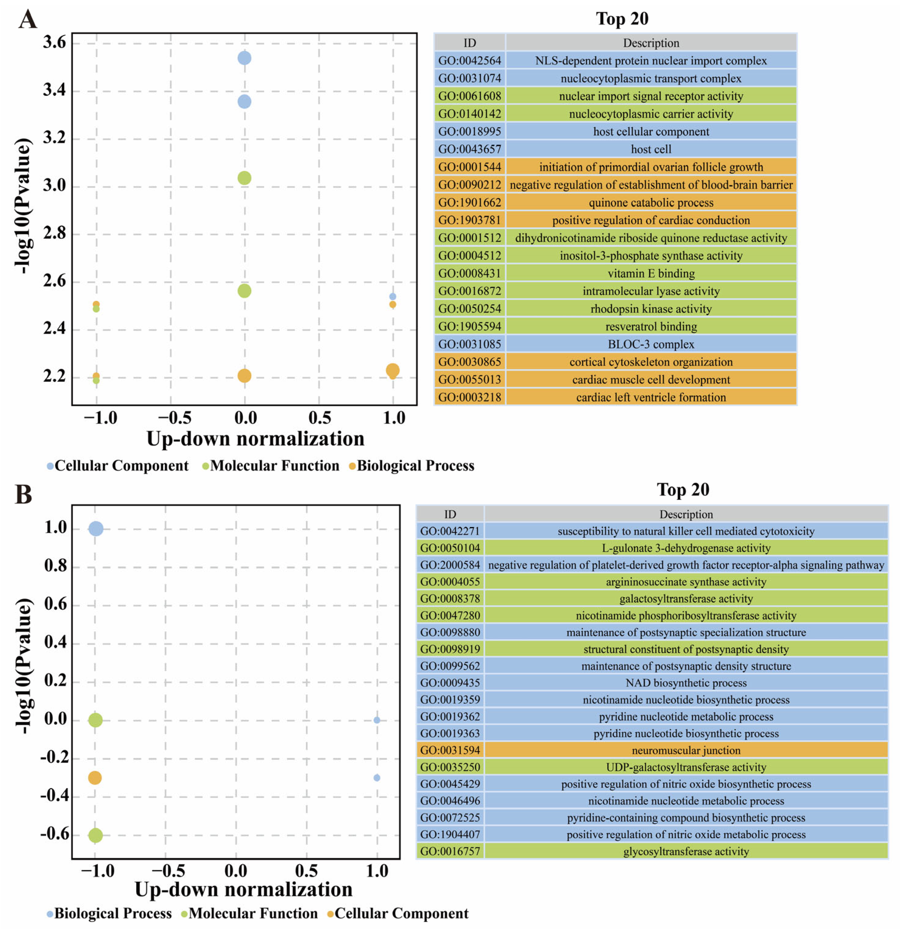 Biology 14 01059 g007