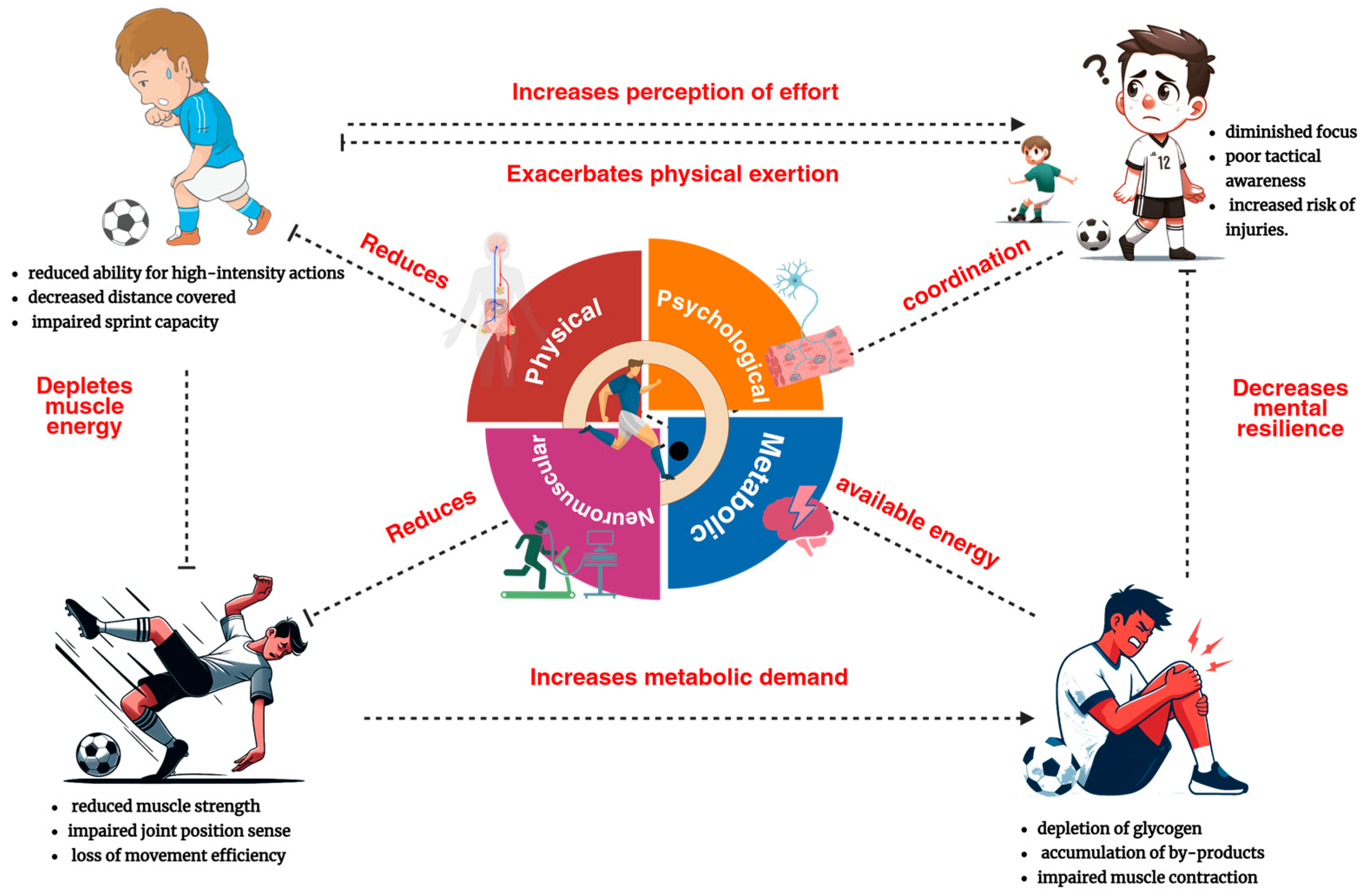Biology 14 01069 g001