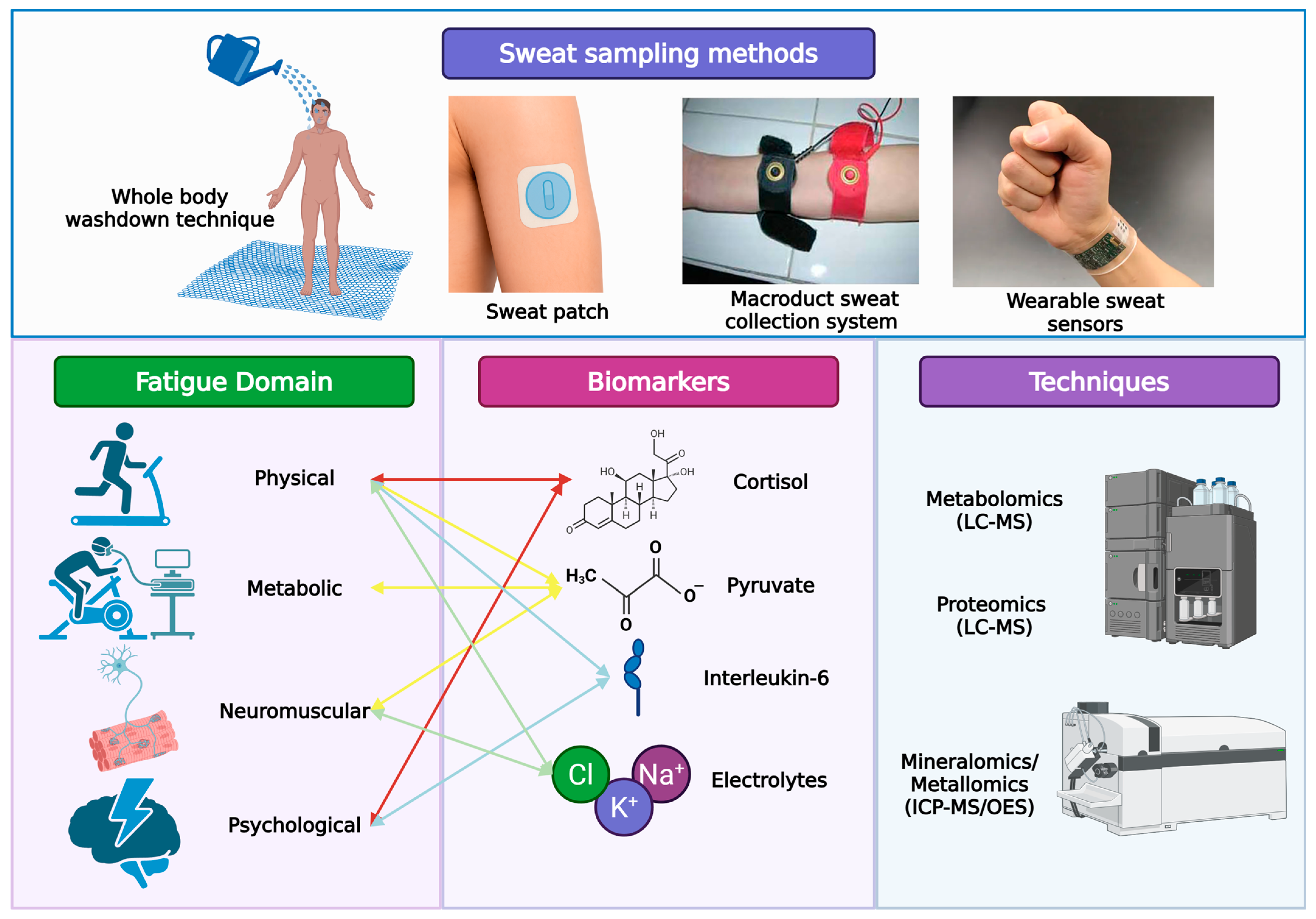 Biology 14 01069 g002