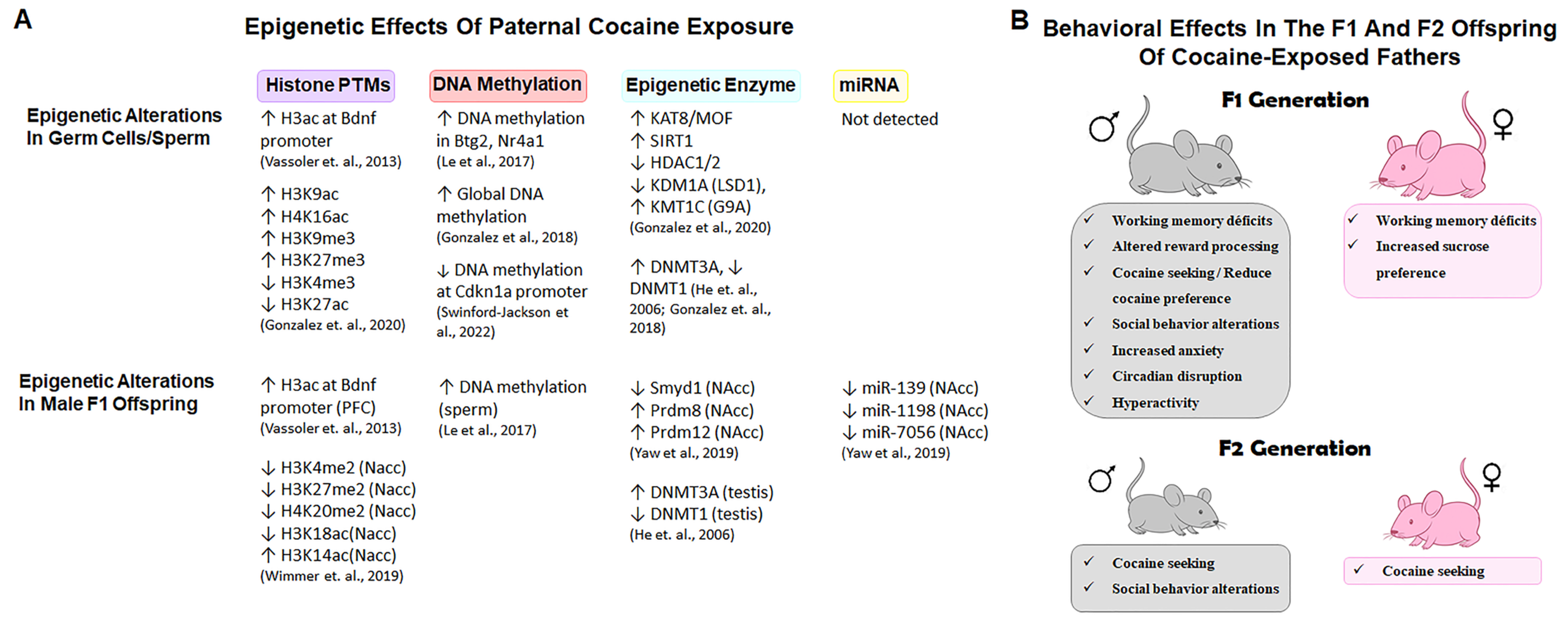 Biology 14 01072 g003 Biology 14 01072 g003